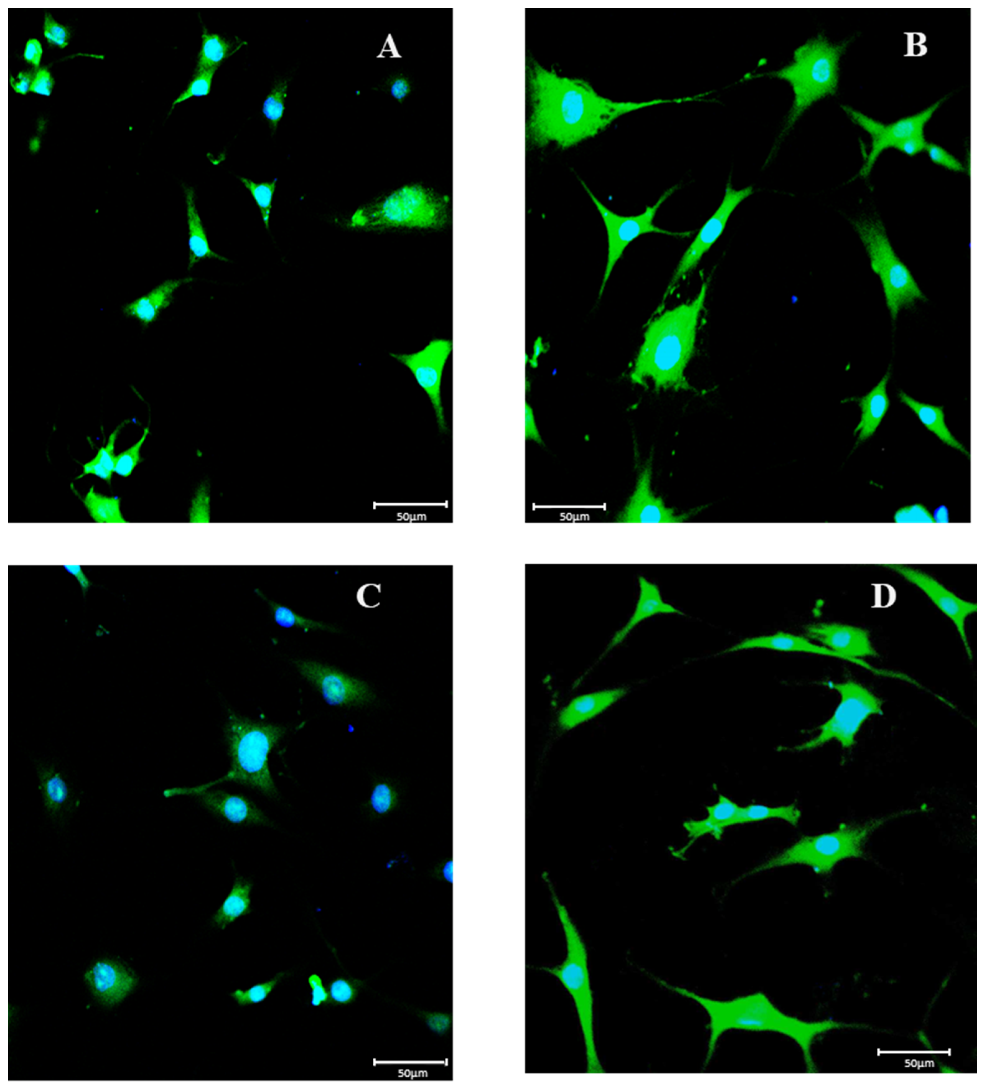 Biomolecules 13 00851 g005