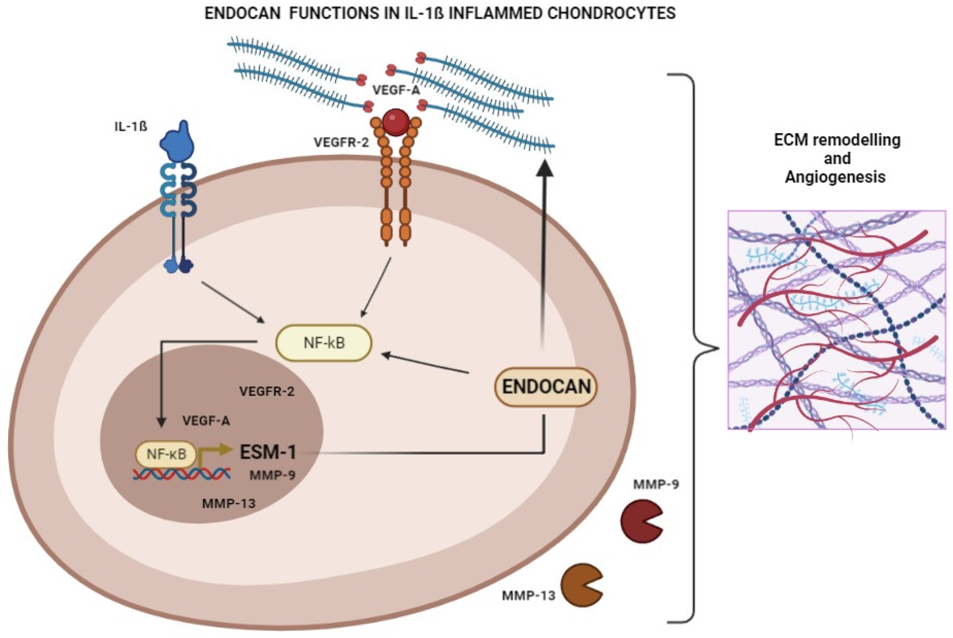 Biomolecules 13 00851 g007