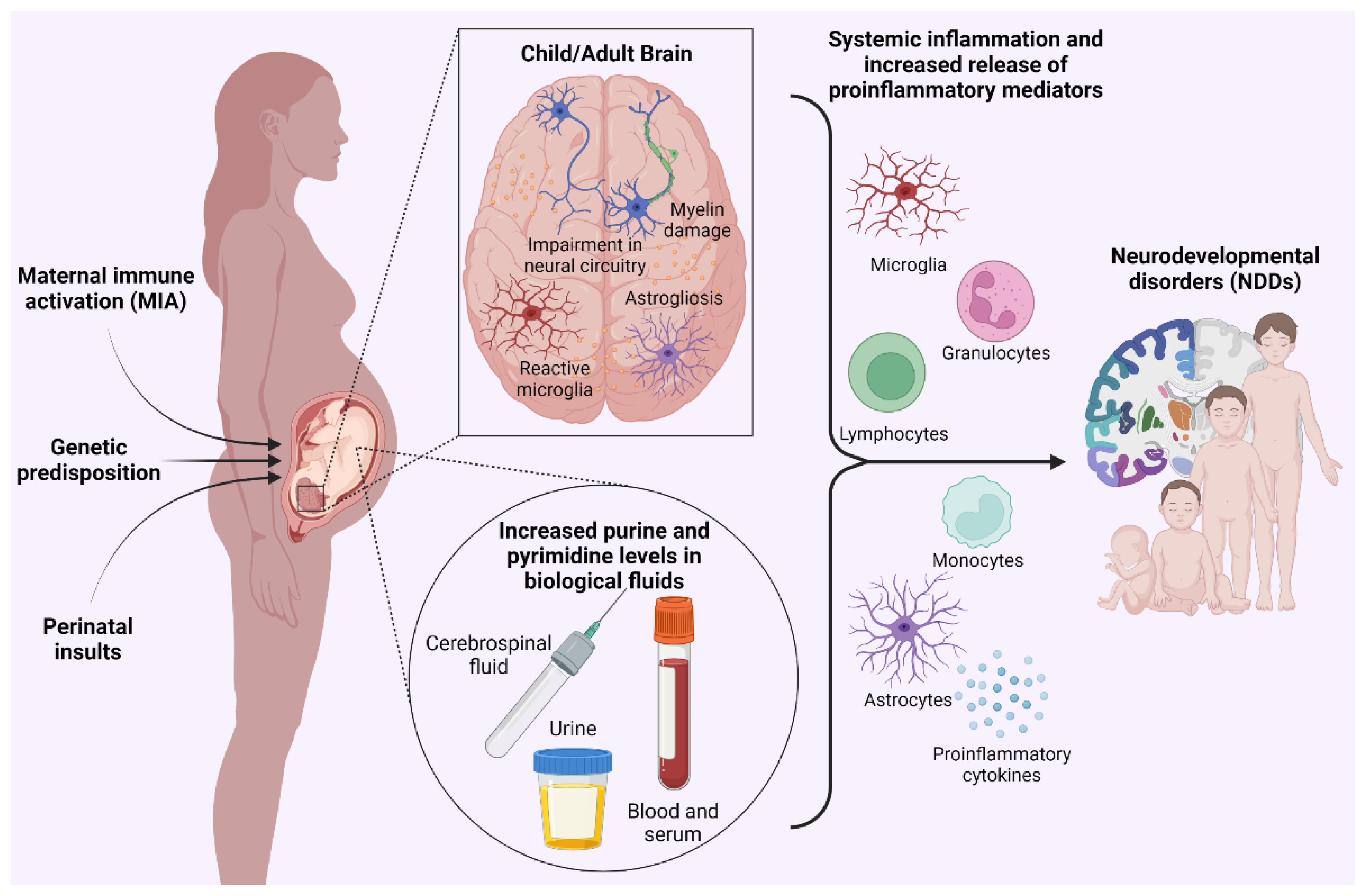 Biomolecules 13 00856 g001 Biomolecules 13 00856 g001