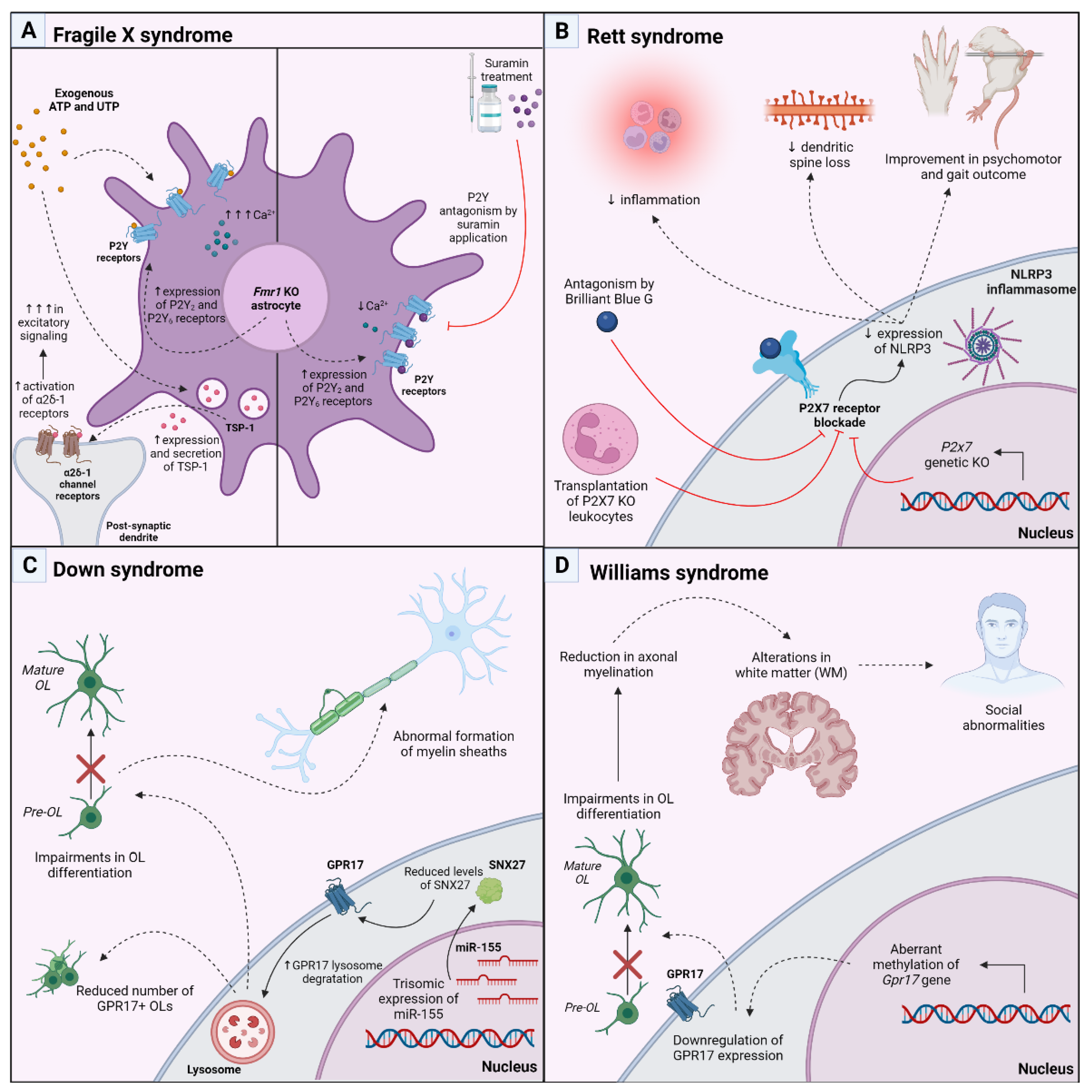 Biomolecules 13 00856 g003 Biomolecules 13 00856 g003