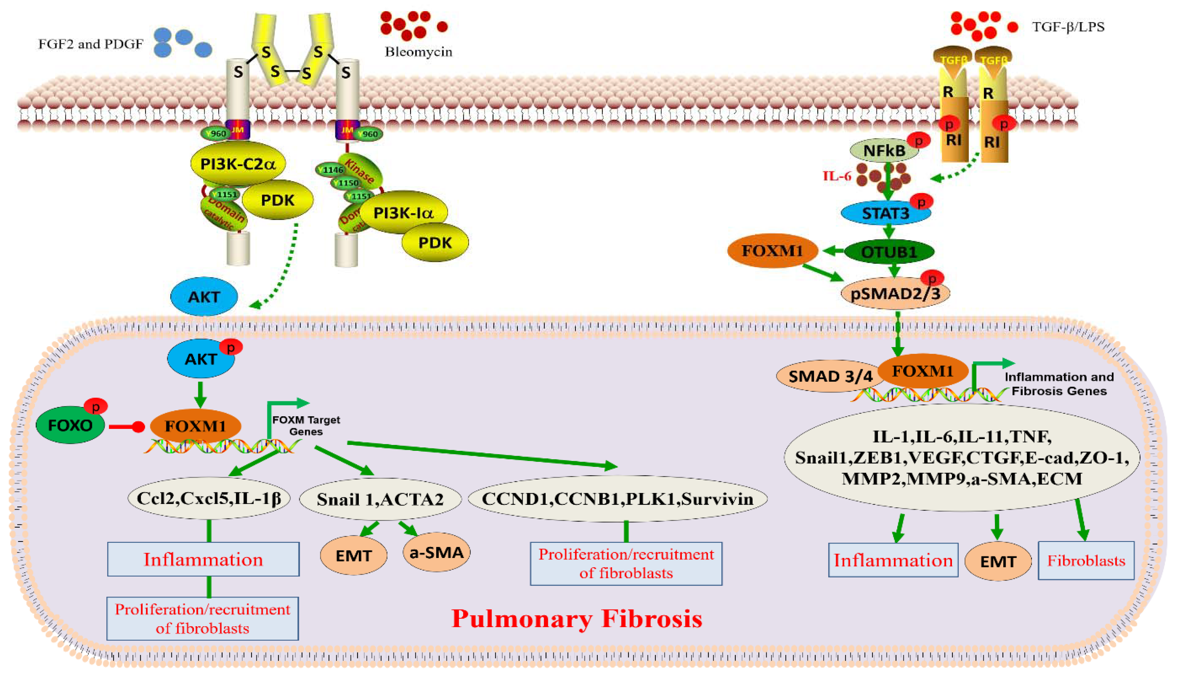 Biomolecules 13 00857 g002 Biomolecules 13 00857 g002