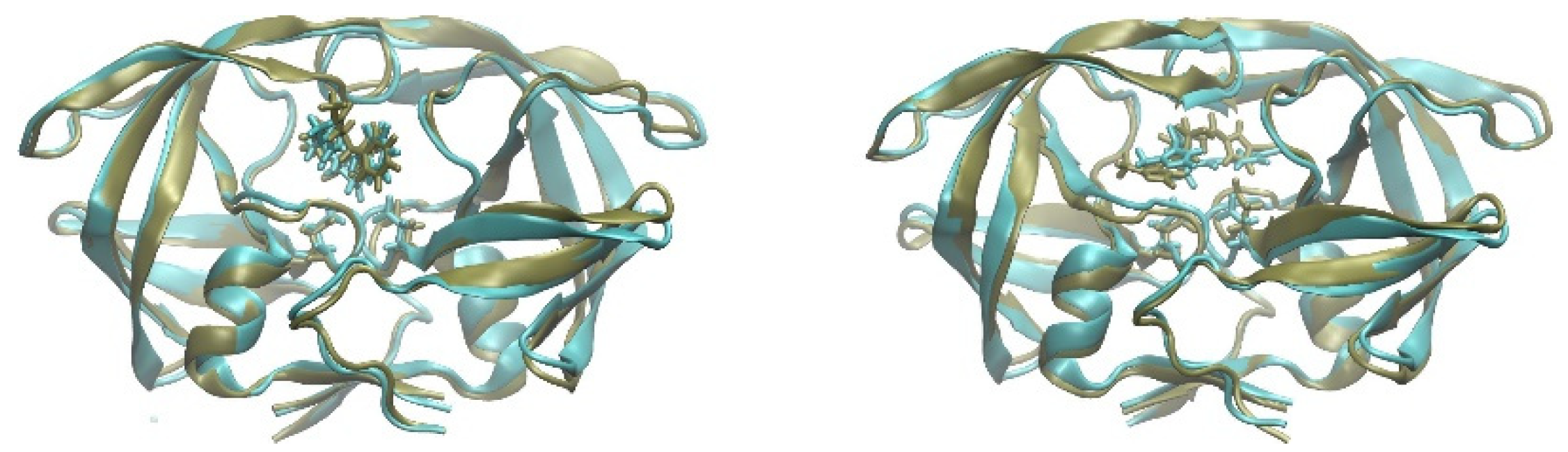 Biomolecules 13 00858 g003