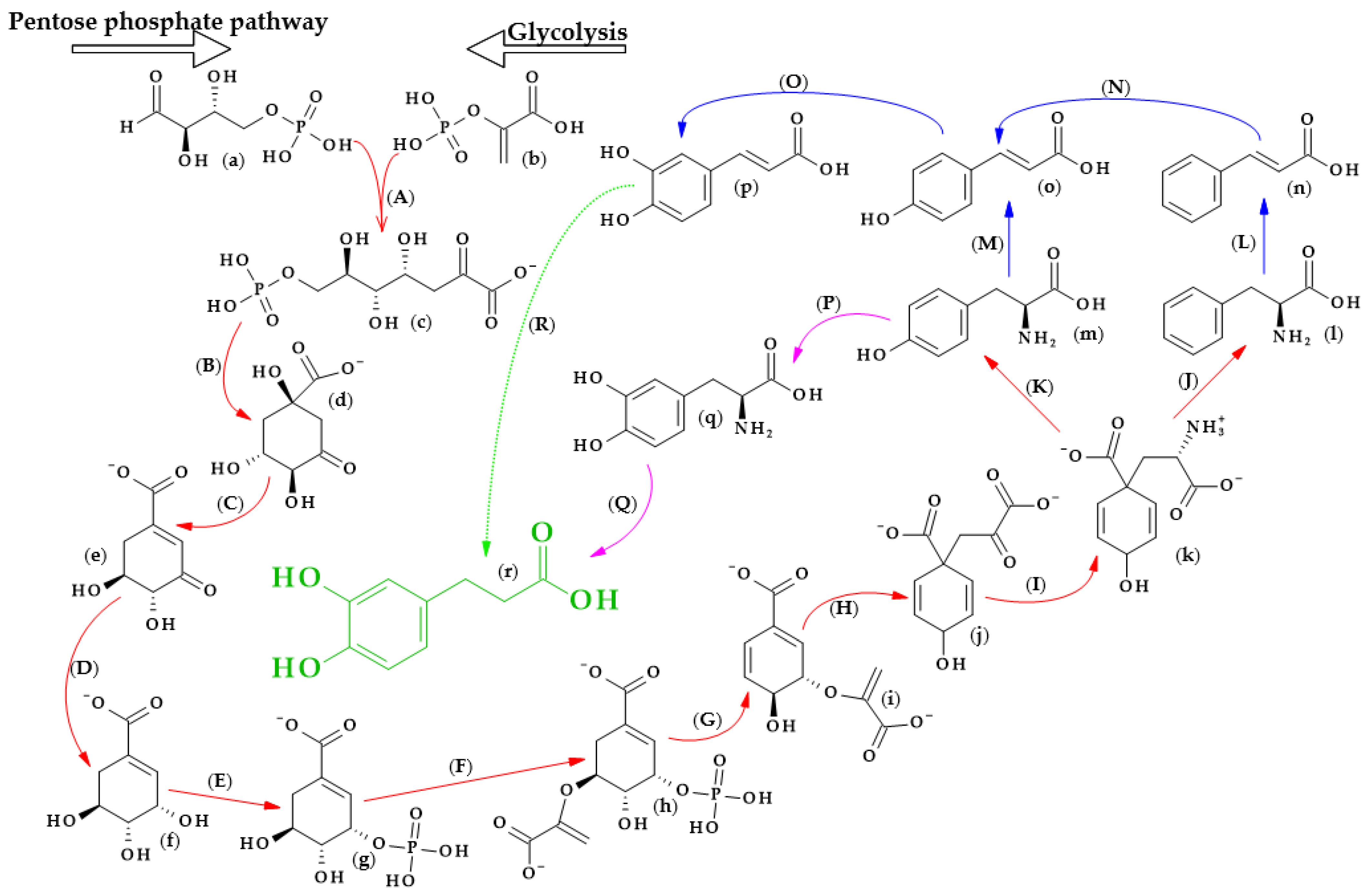 Biomolecules 13 00859 g003 Biomolecules 13 00859 g003