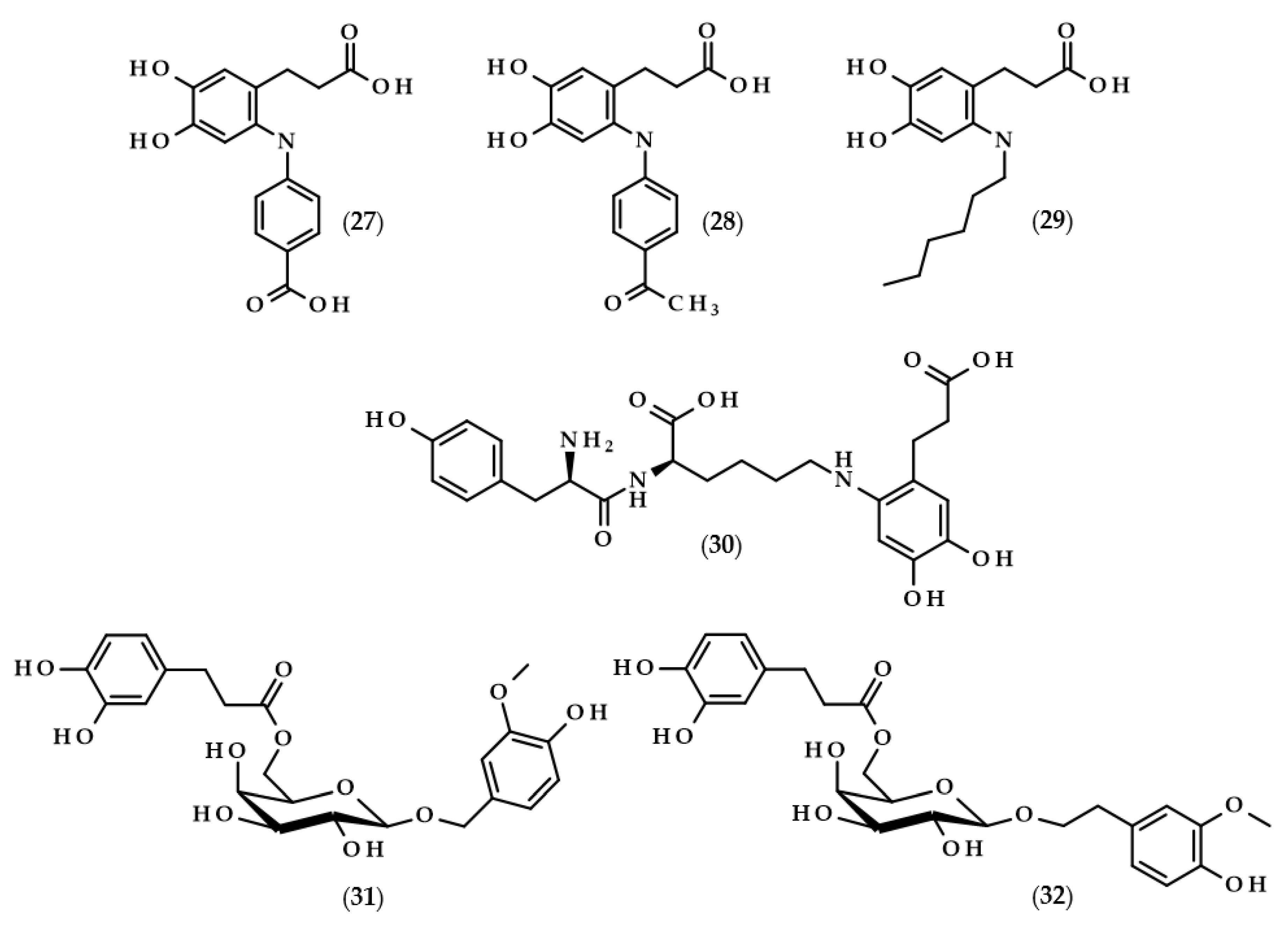 Biomolecules 13 00859 g006 Biomolecules 13 00859 g006