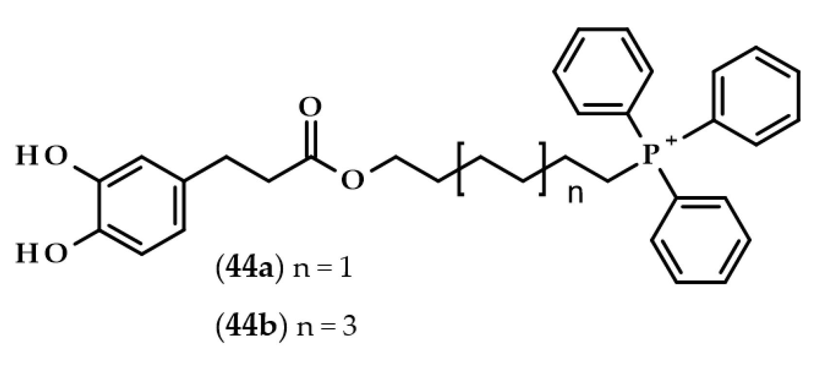 Biomolecules 13 00859 g010 Biomolecules 13 00859 g010