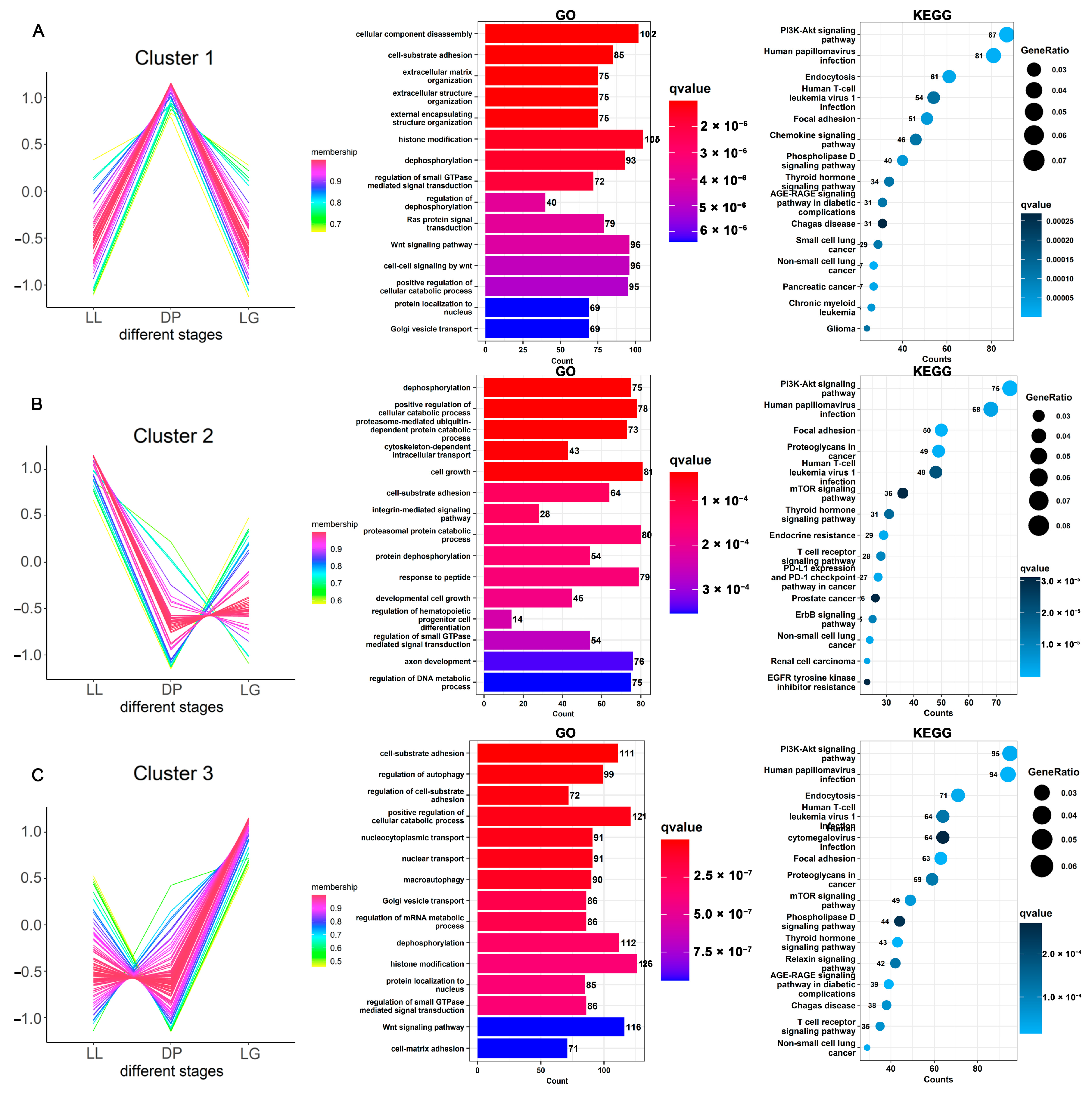 Biomolecules 13 00860 g004