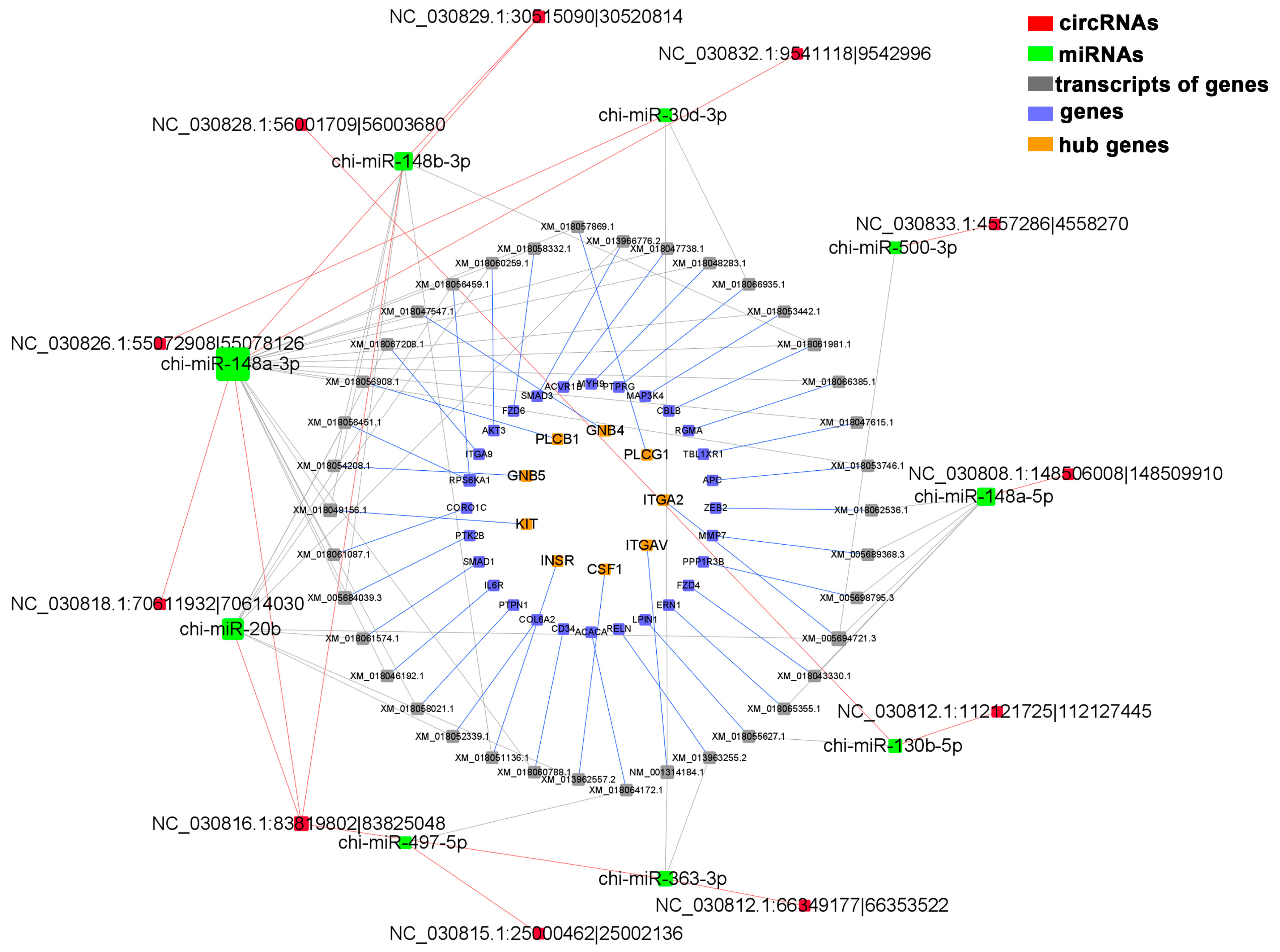 Biomolecules 13 00860 g006
