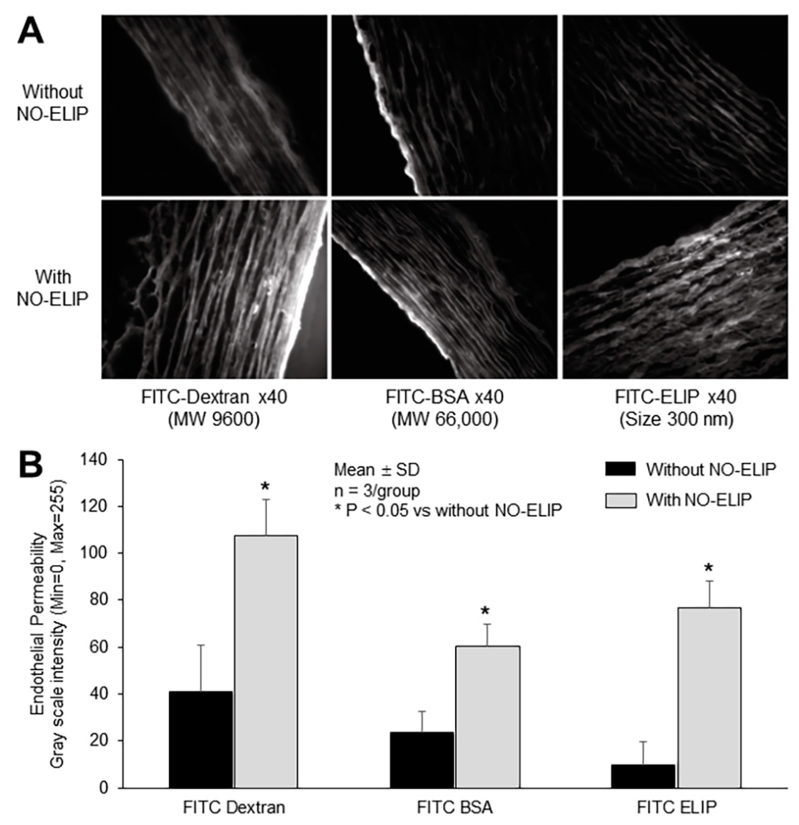 Biomolecules 13 00861 g004