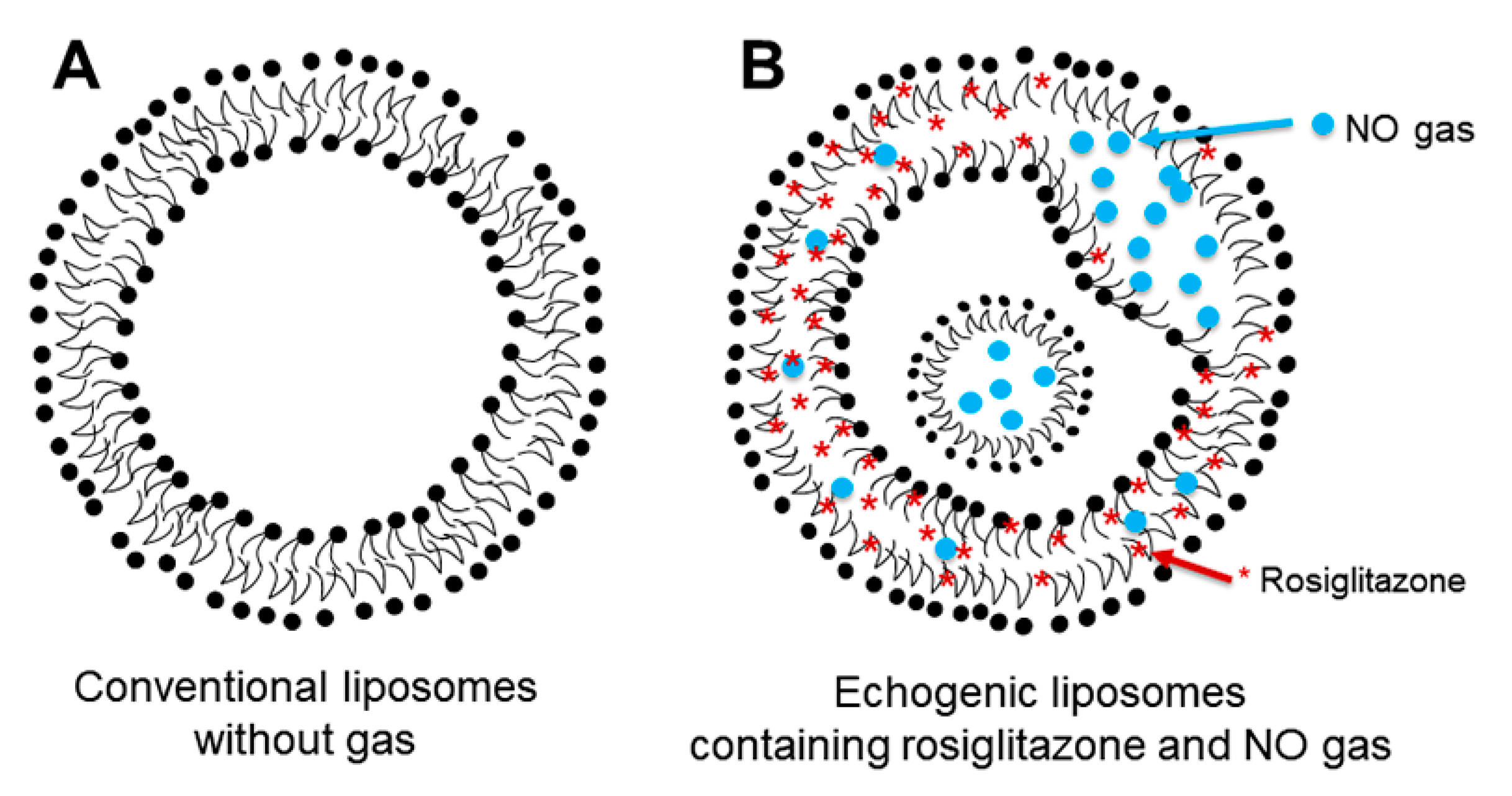 Biomolecules 13 00861 g006