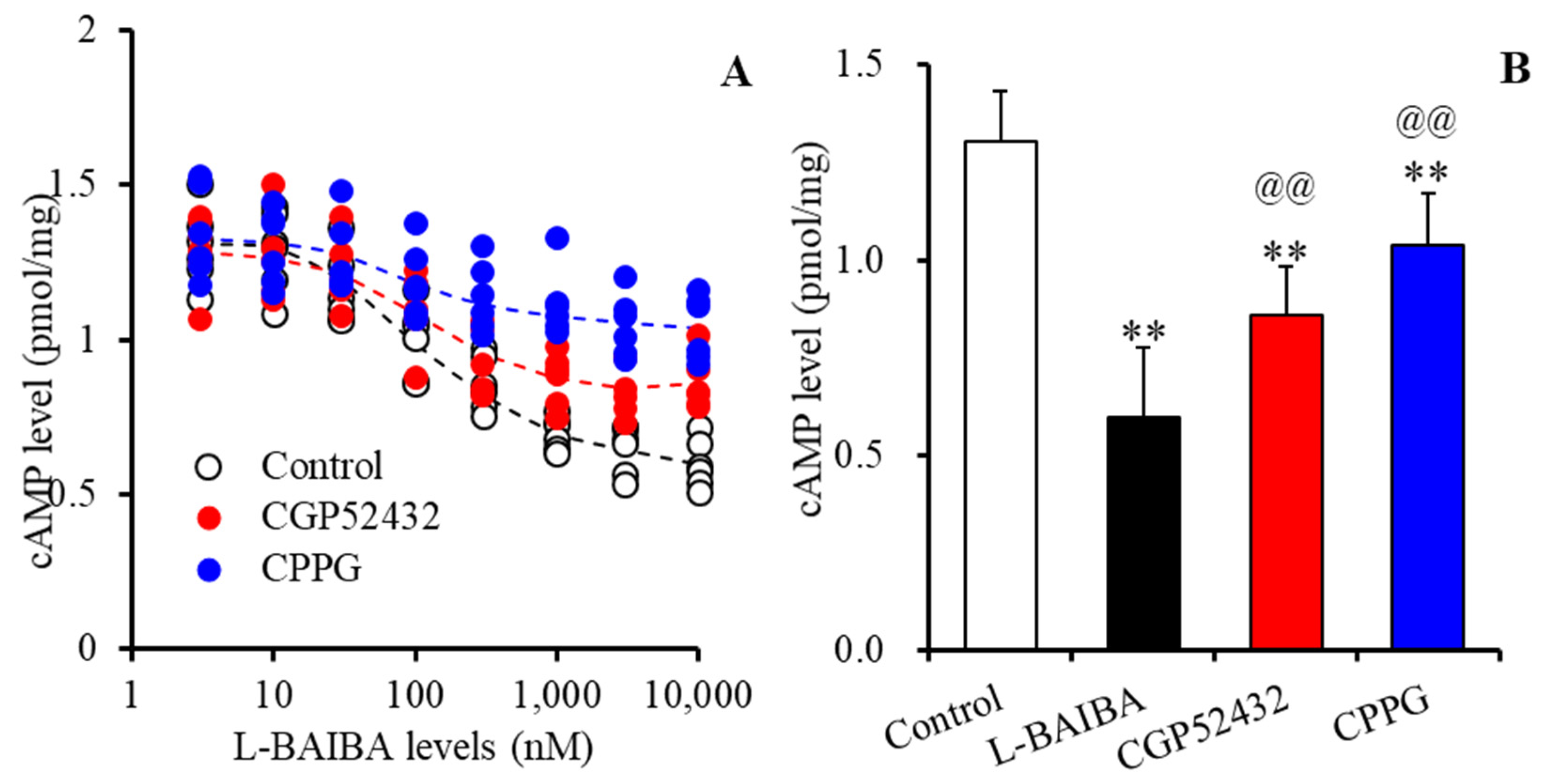 Biomolecules 13 00862 g003