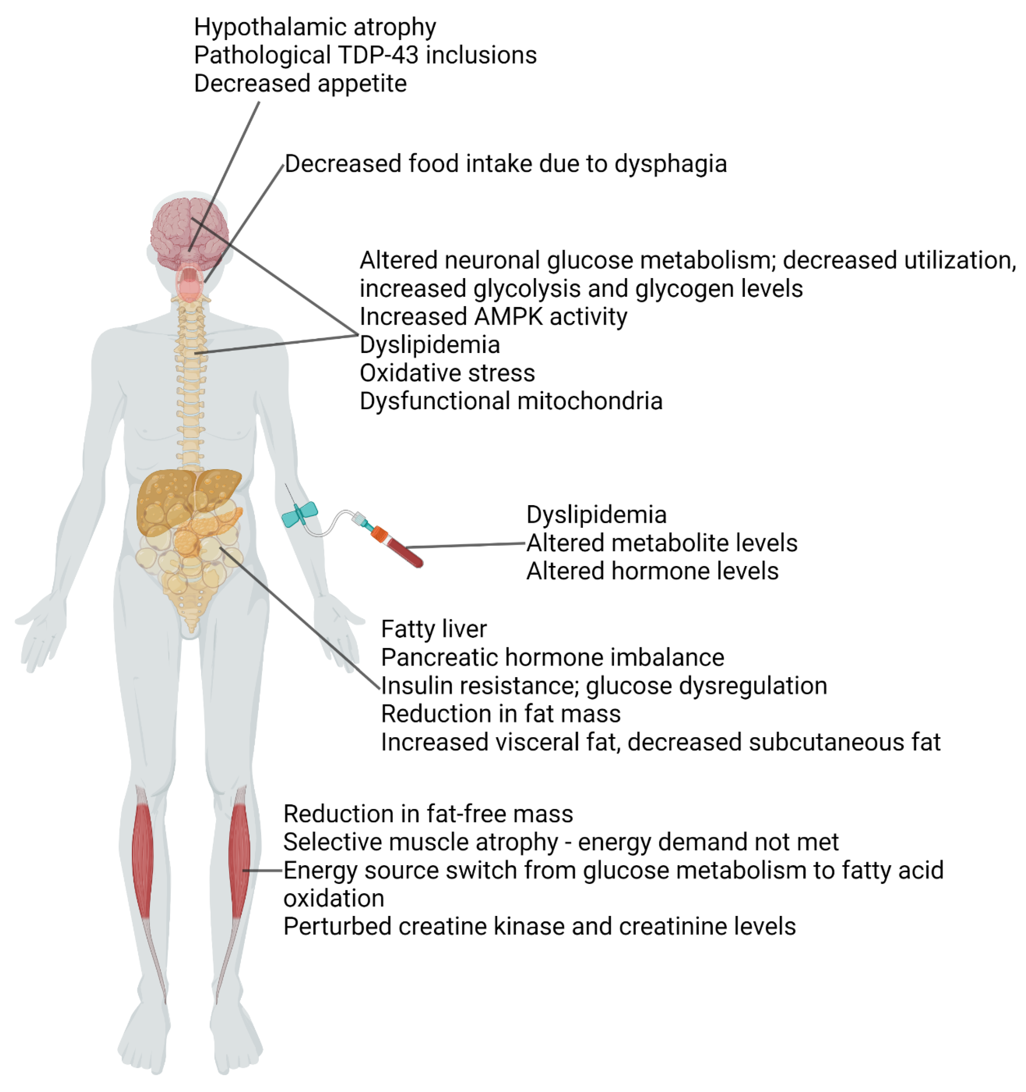 Biomolecules 13 00863 g001 Biomolecules 13 00863 g001