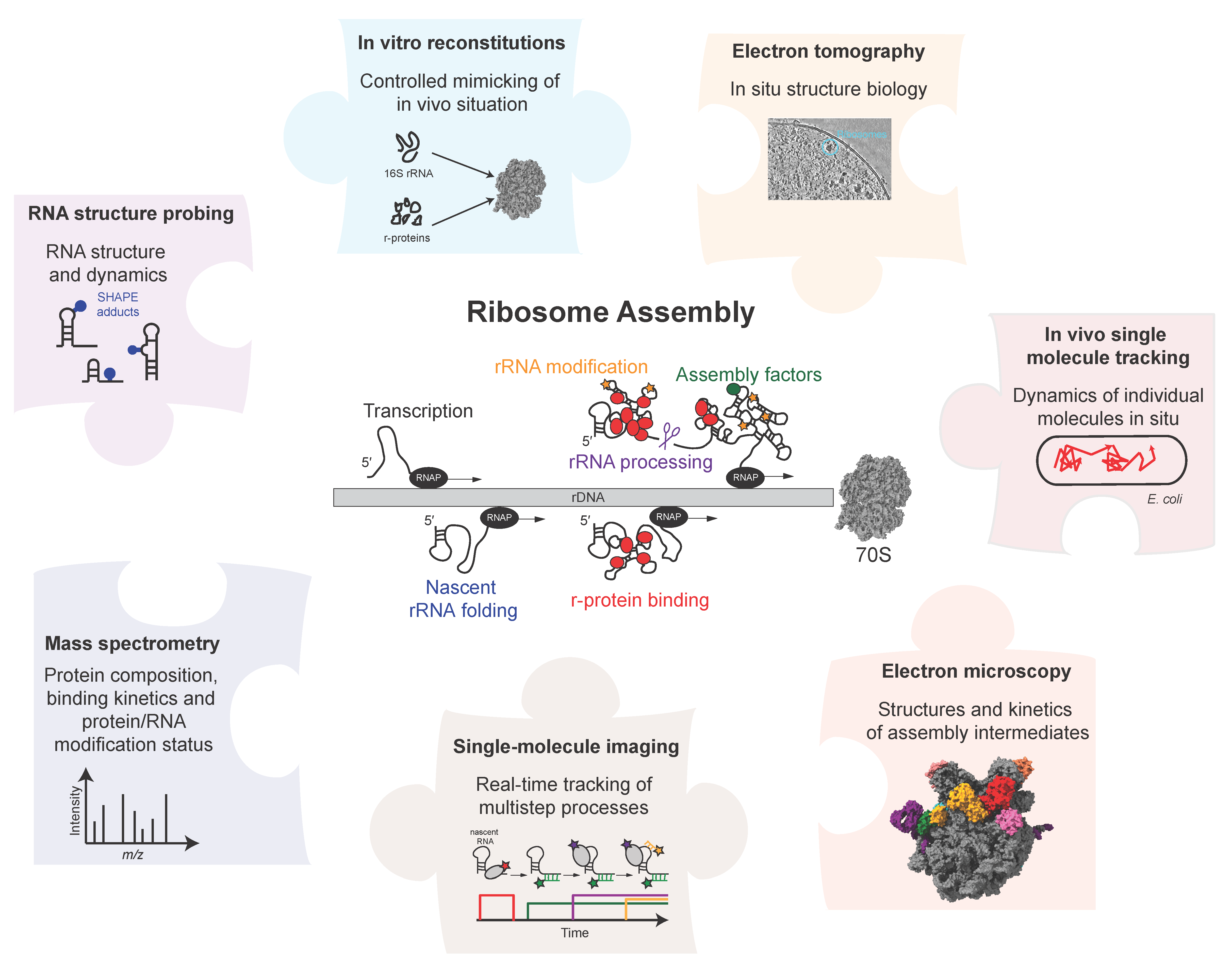 Biomolecules Free FullText Emerging Quantitative Biochemical