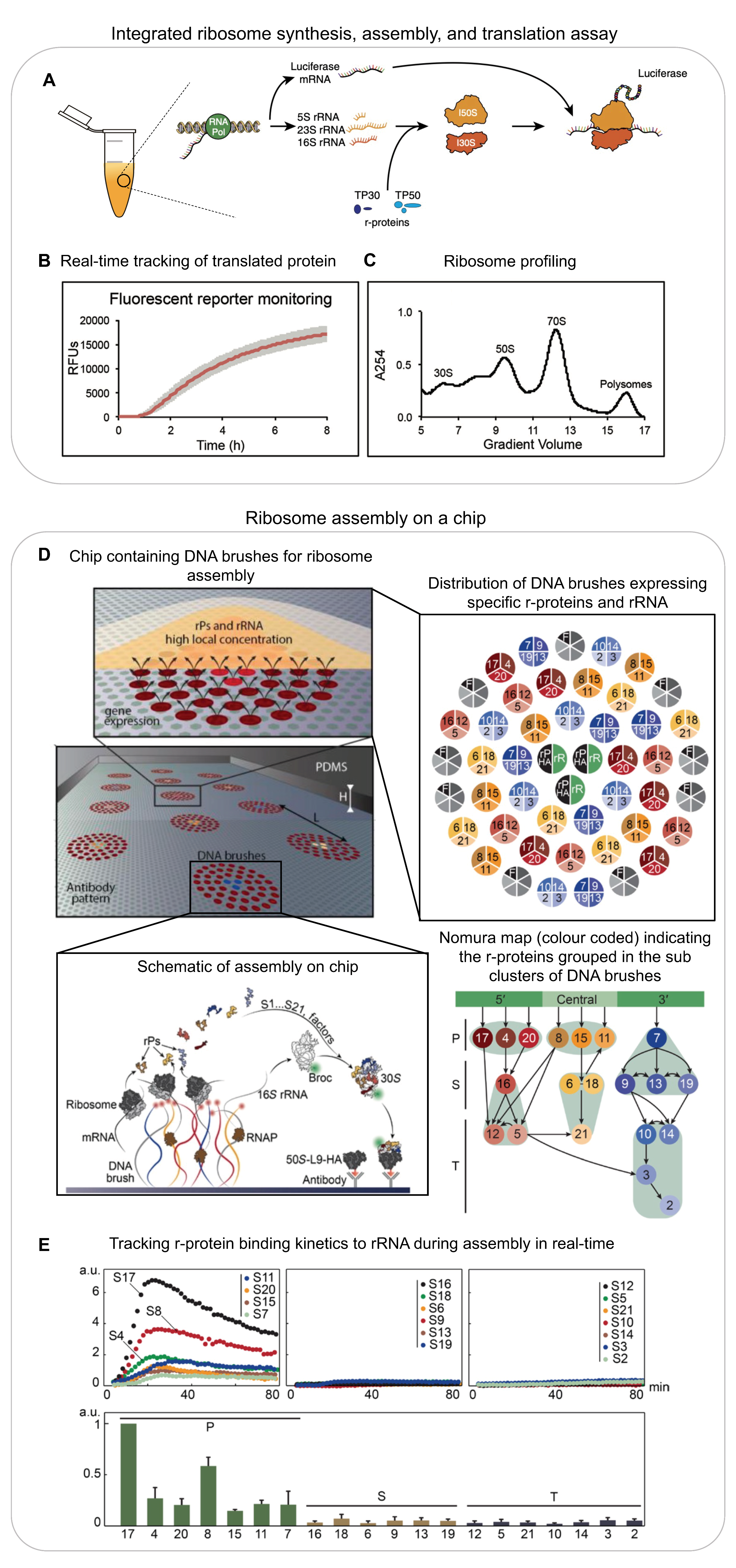Biomolecules 13 00866 g002