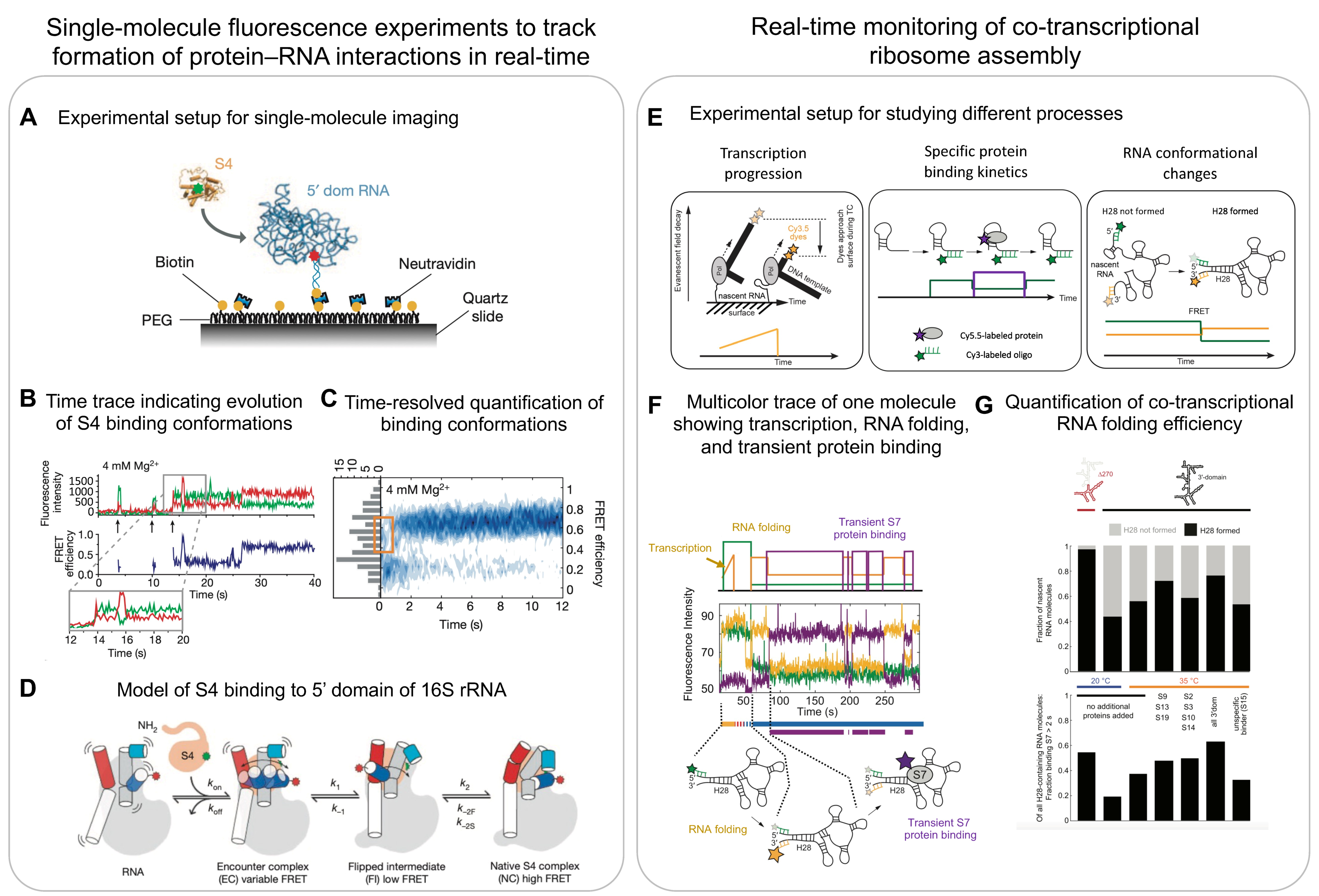 Biomolecules 13 00866 g006