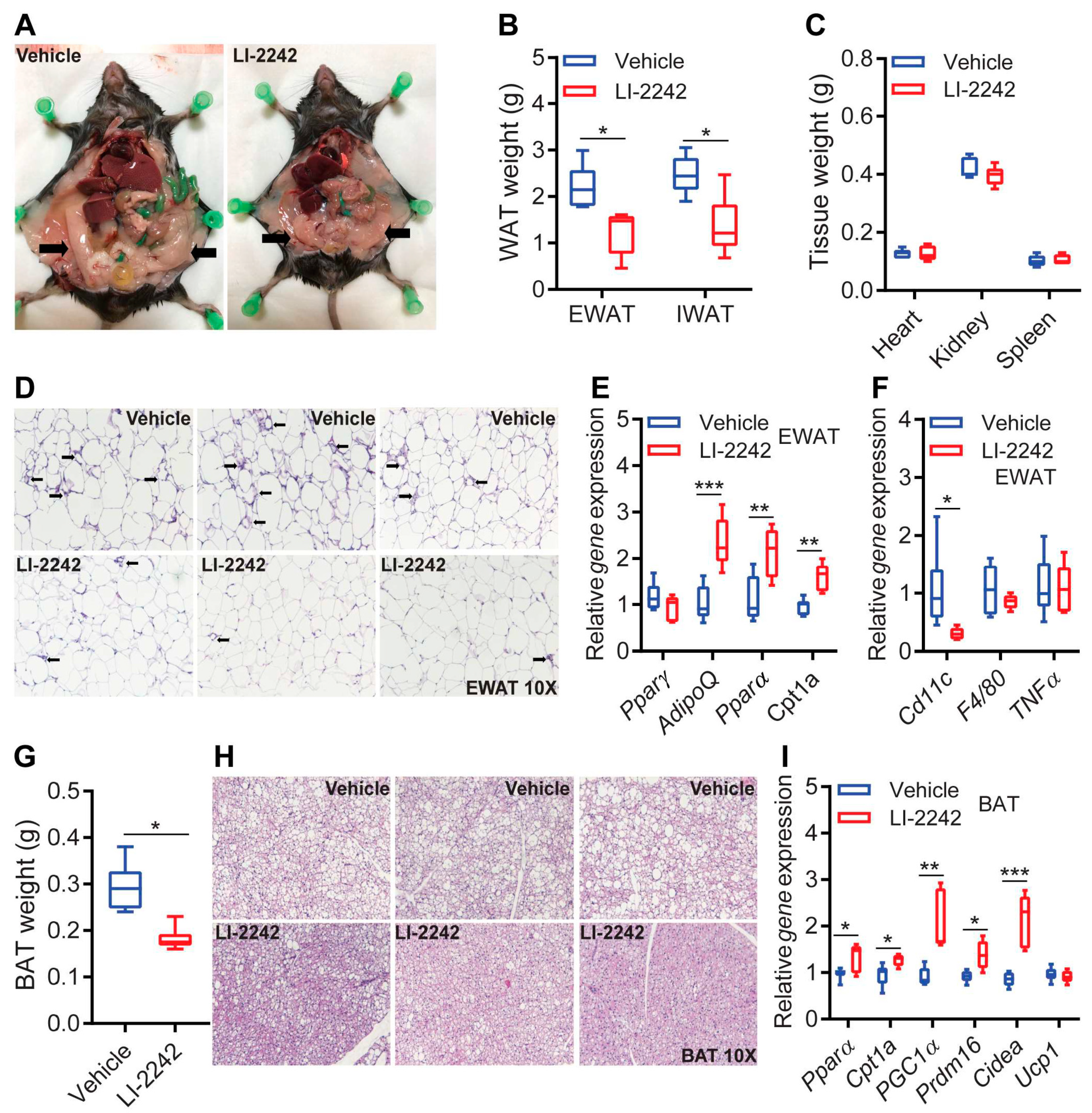 Biomolecules 13 00868 g003