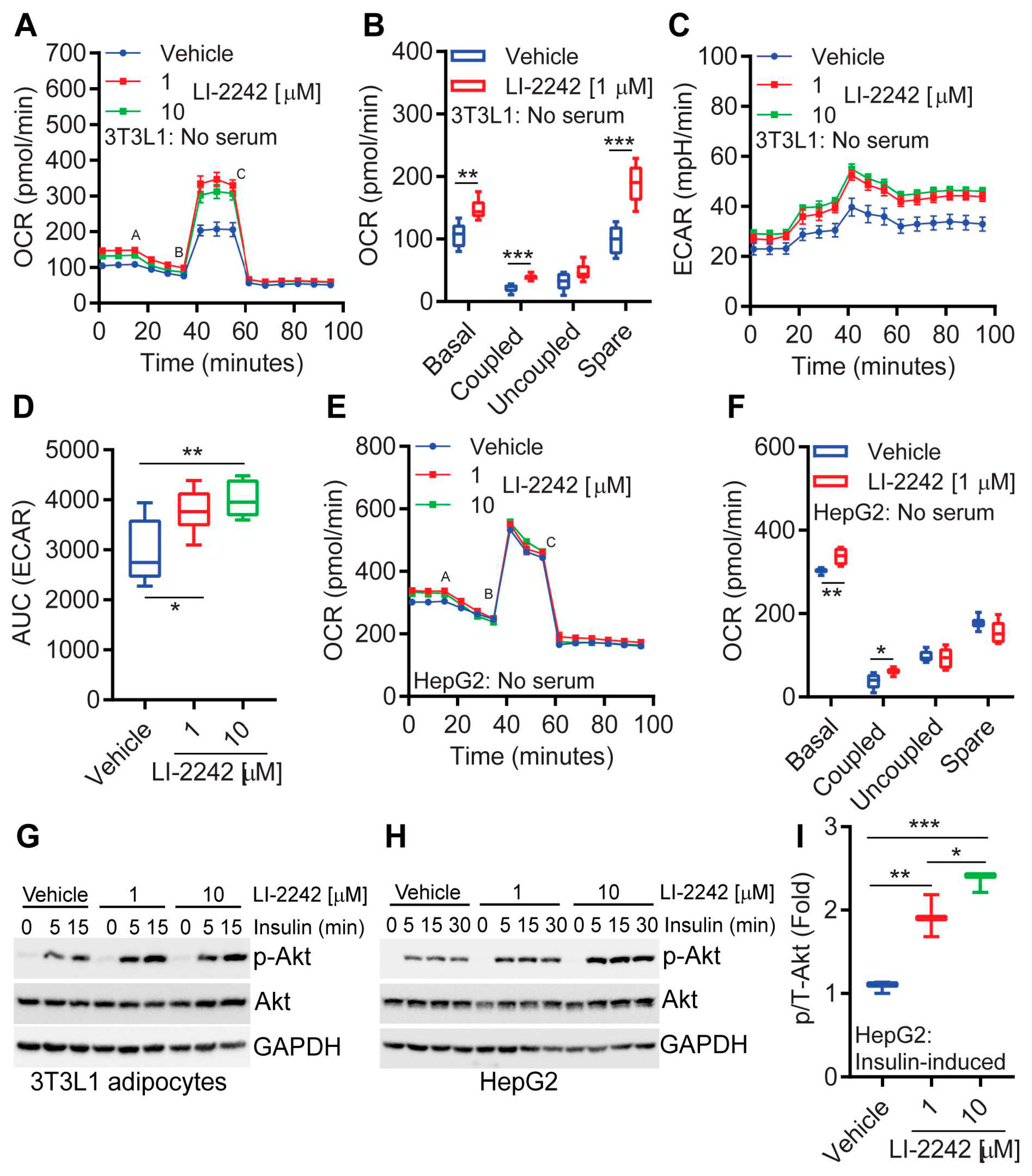 Biomolecules 13 00868 g005