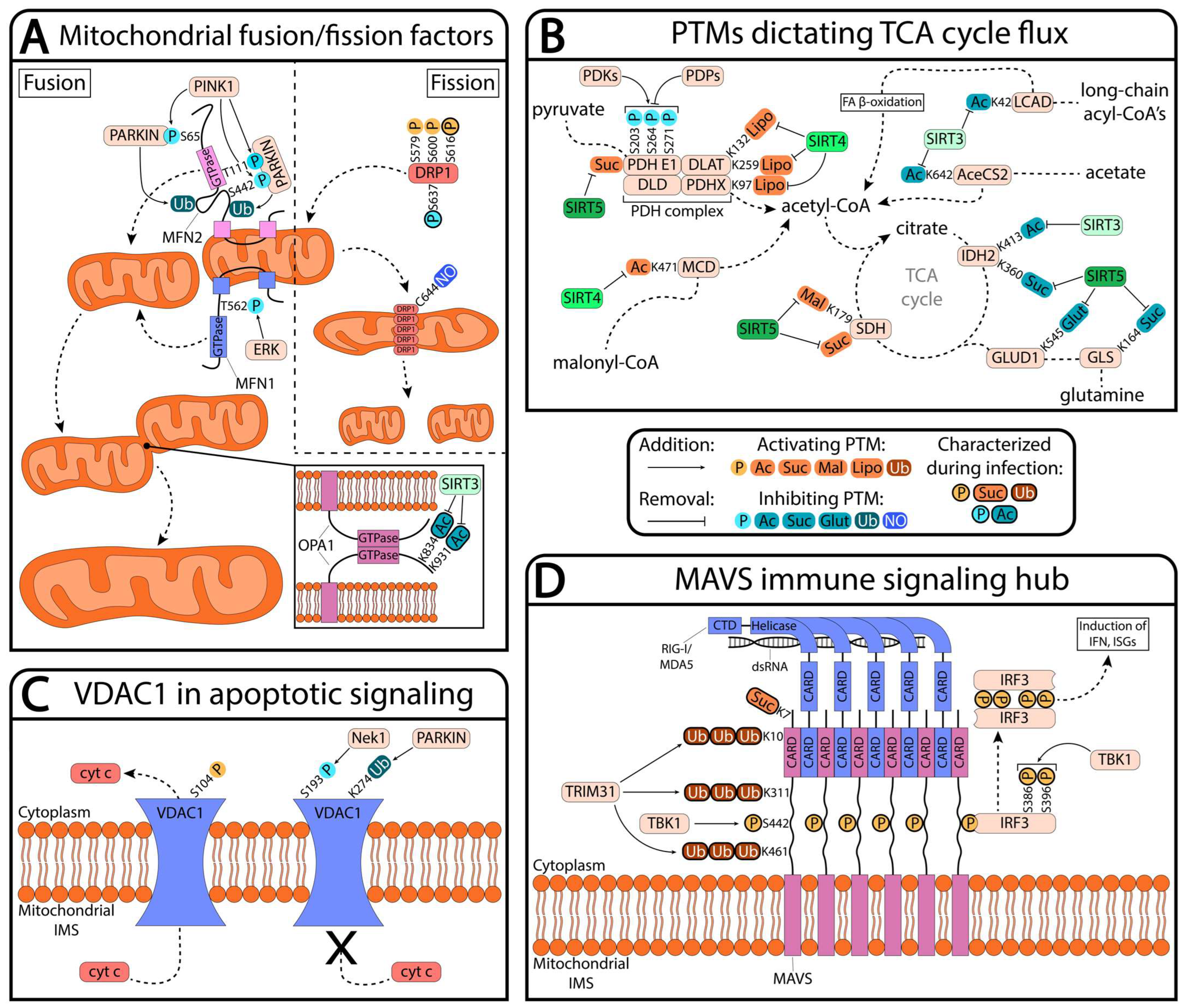 Biomolecules 13 00869 g001