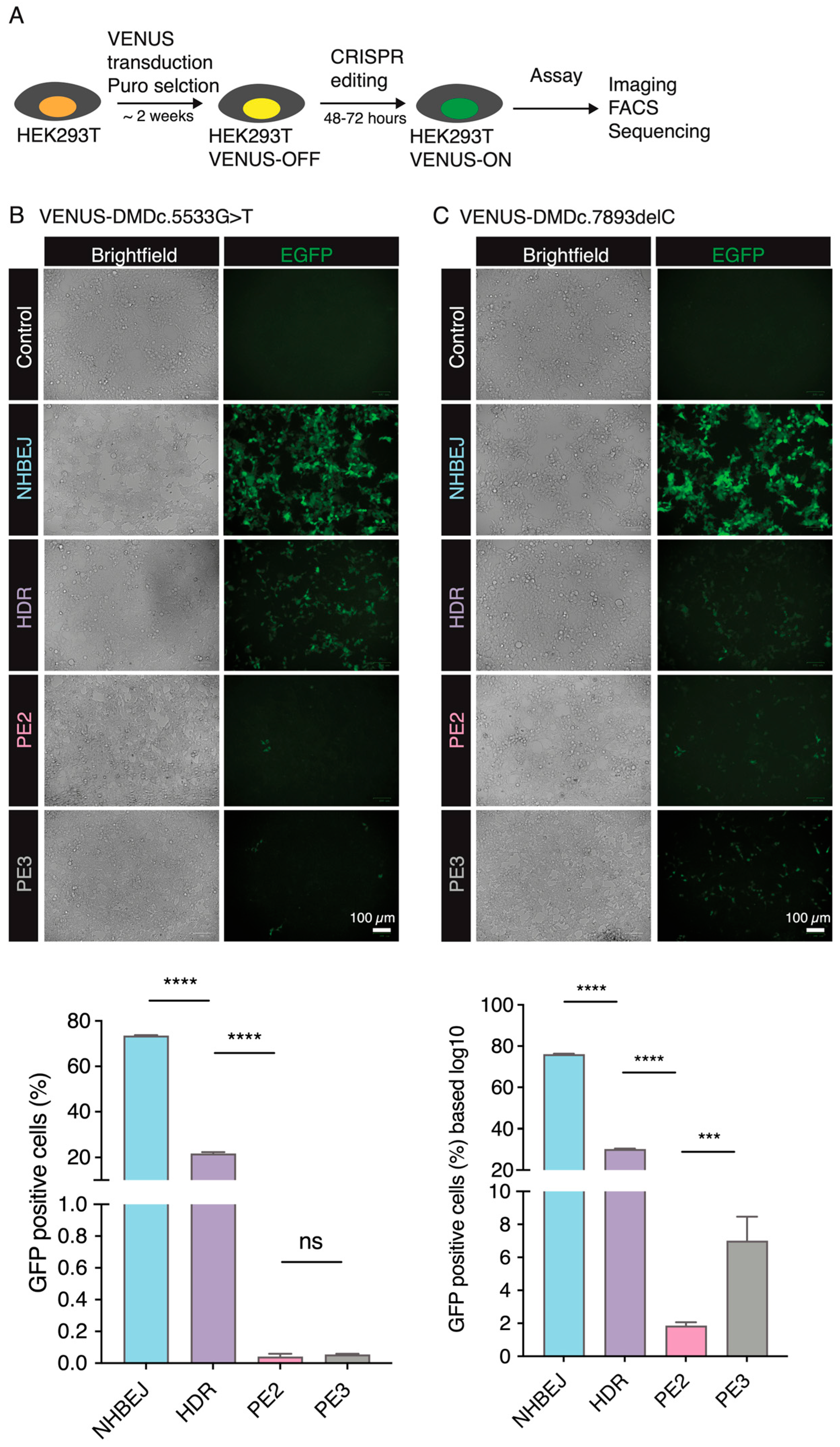 Biomolecules 13 00870 g003