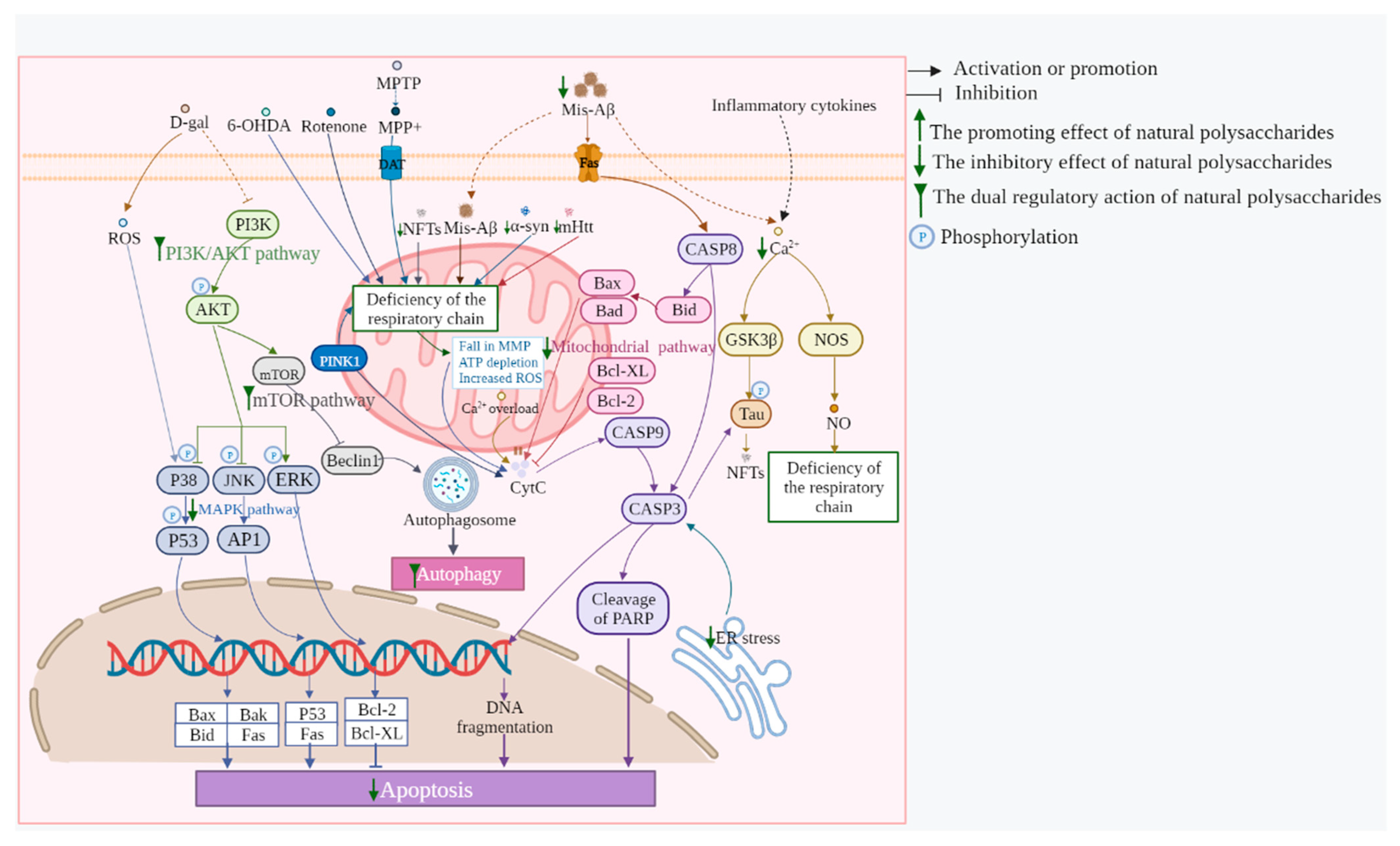 Biomolecules 13 00873 g001 Biomolecules 13 00873 g001