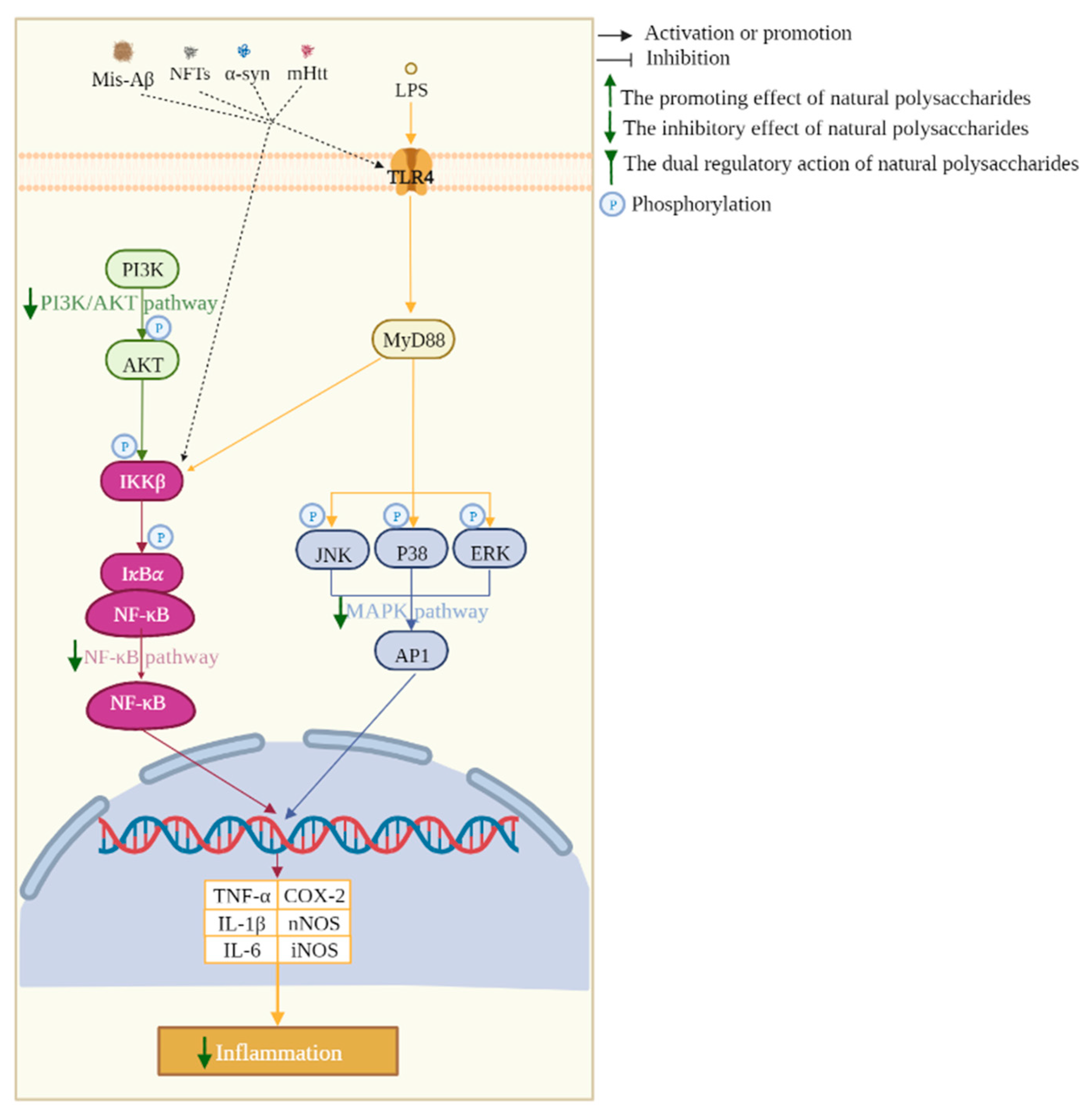 Biomolecules 13 00873 g002 Biomolecules 13 00873 g002
