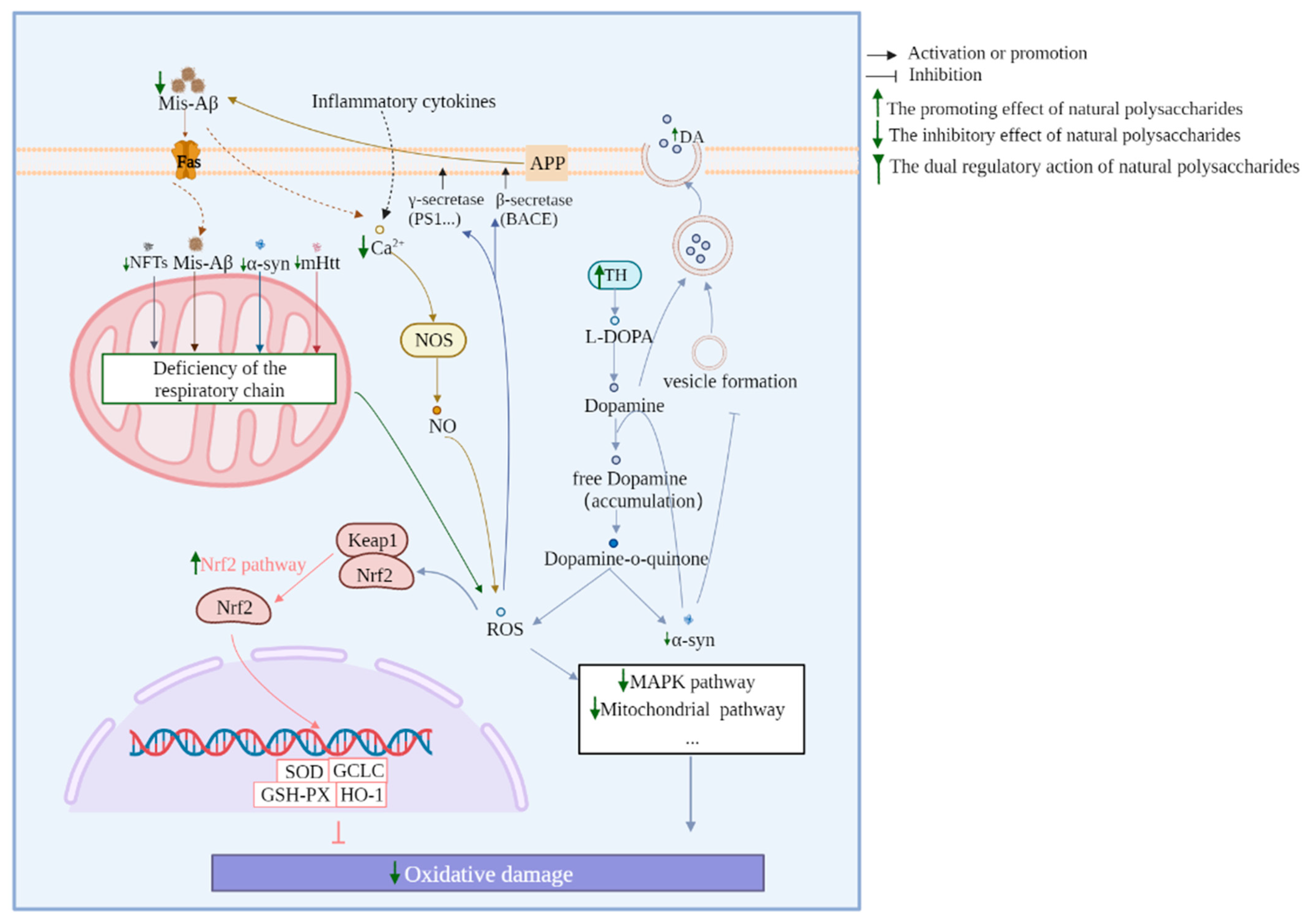 Biomolecules 13 00873 g003 Biomolecules 13 00873 g003
