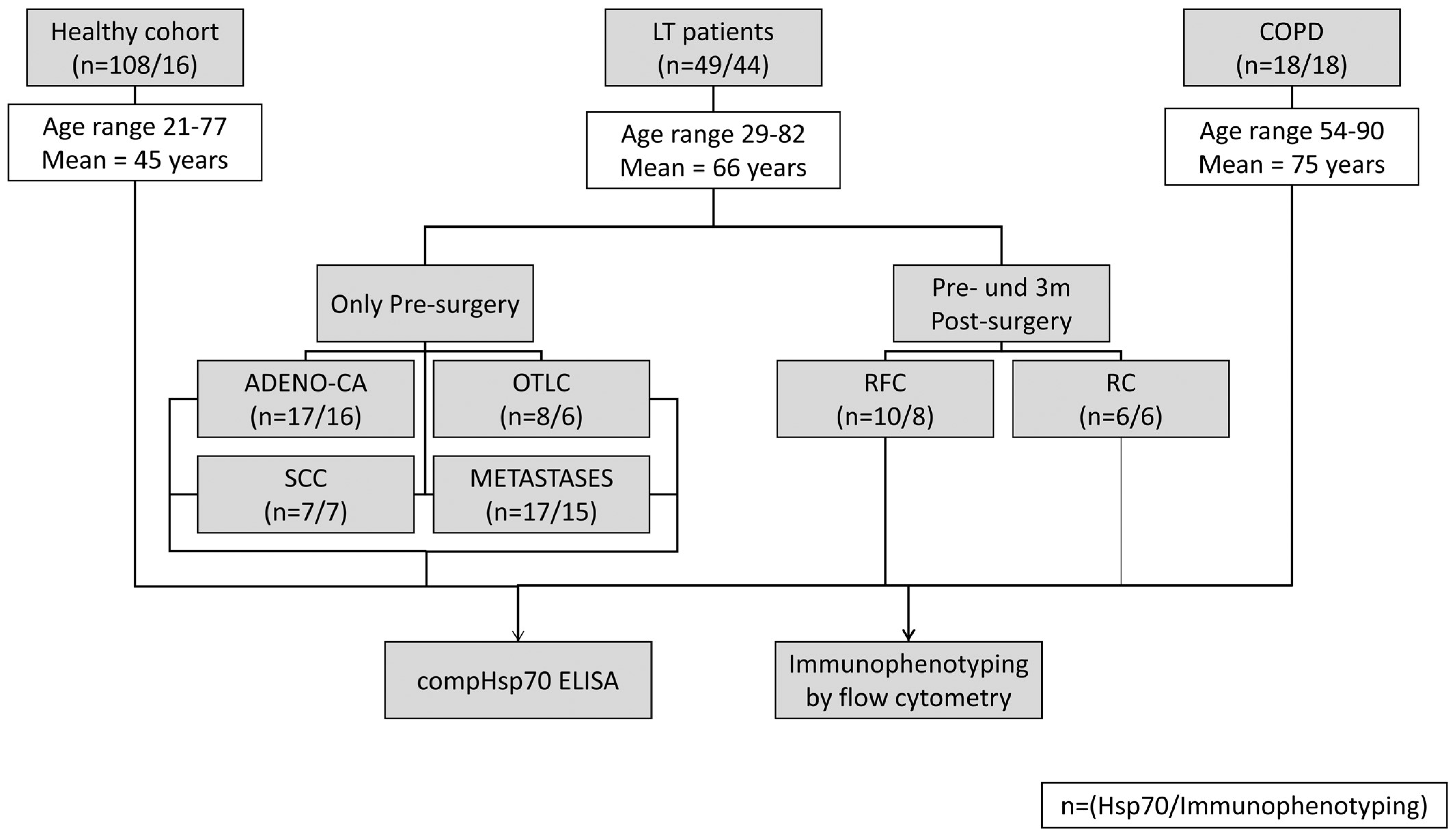 Biomolecules 13 00874 g001 Biomolecules 13 00874 g001