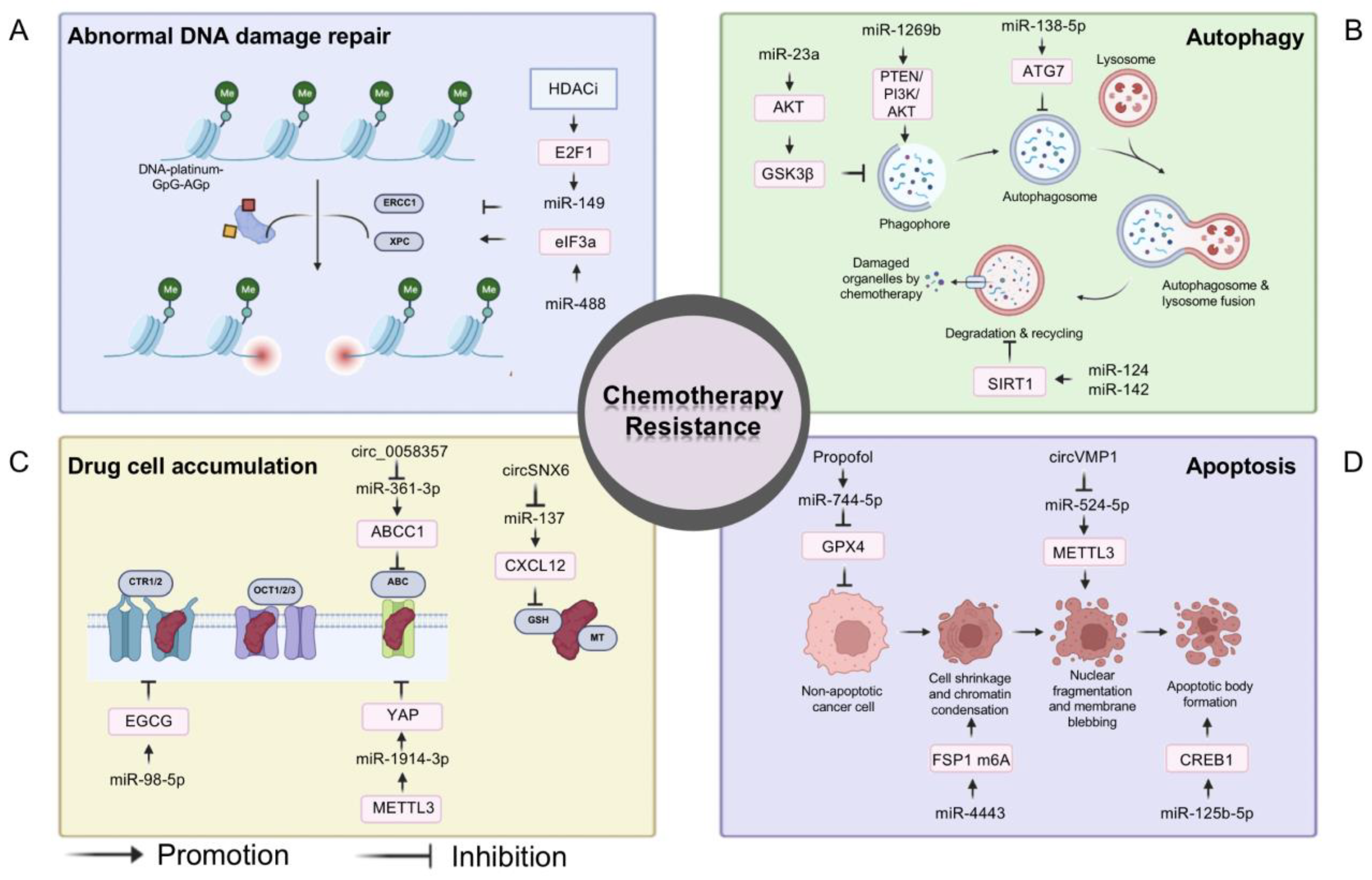 Biomolecules 13 00877 g003 Biomolecules 13 00877 g003