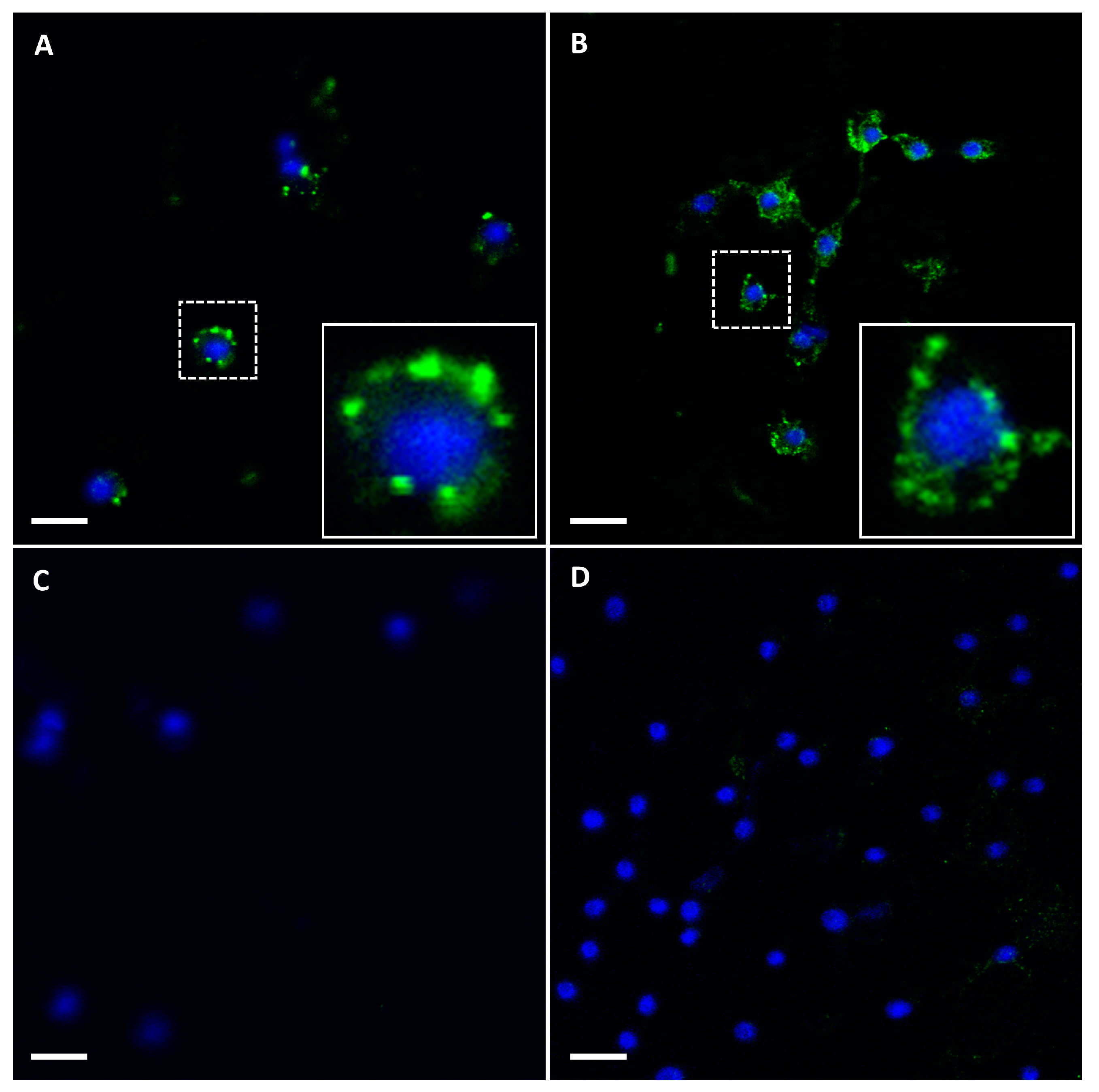 Biomolecules 13 00878 g002