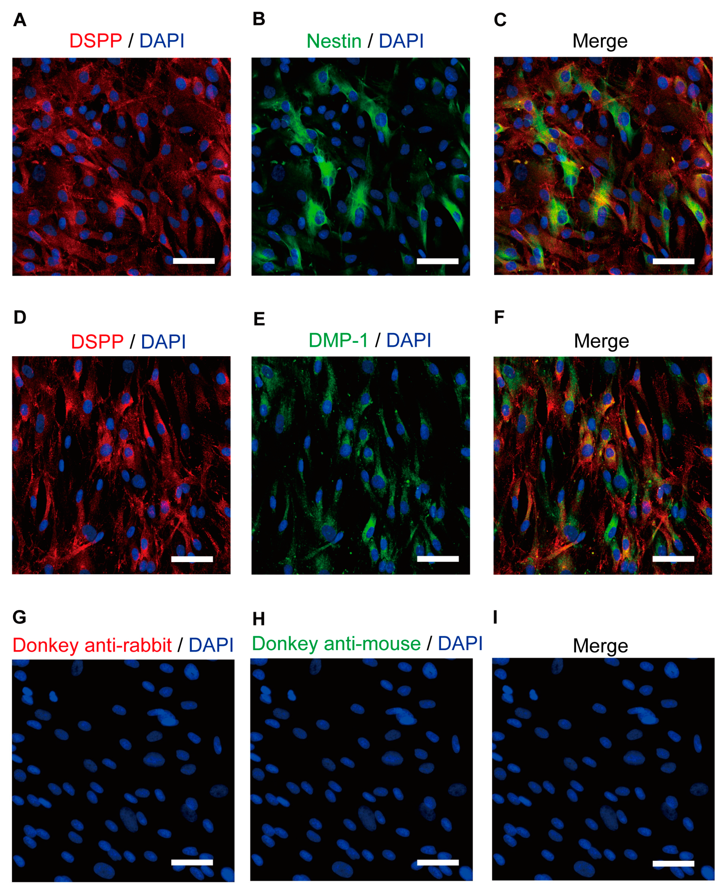 Biomolecules 13 00879 g001 Biomolecules 13 00879 g001