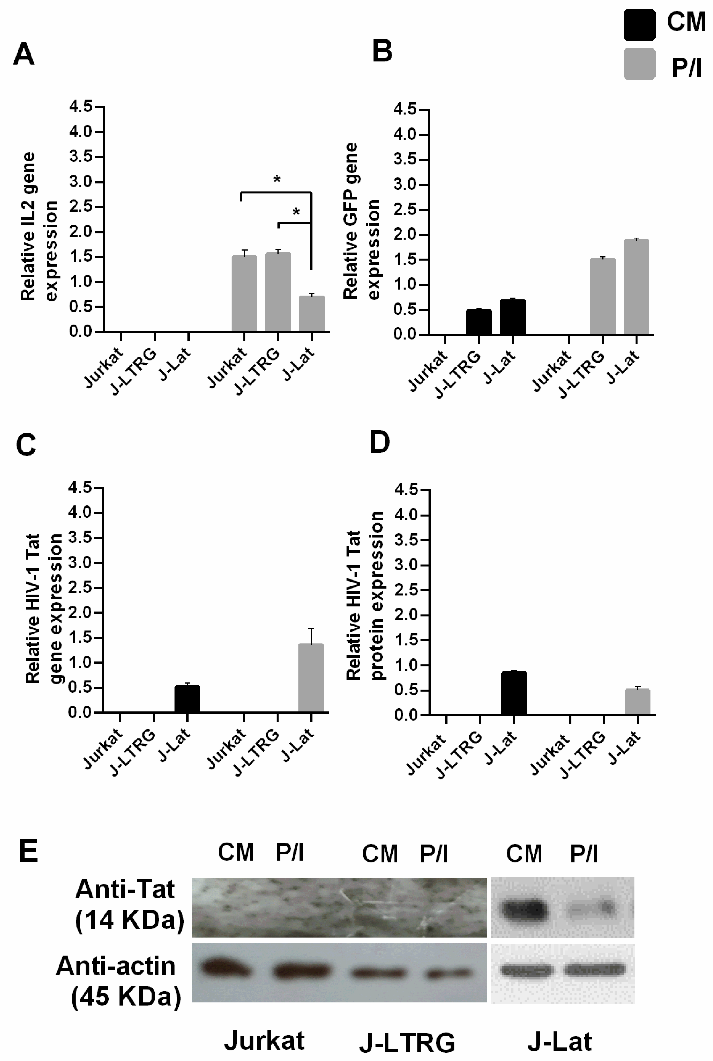 Biomolecules 13 00881 g001