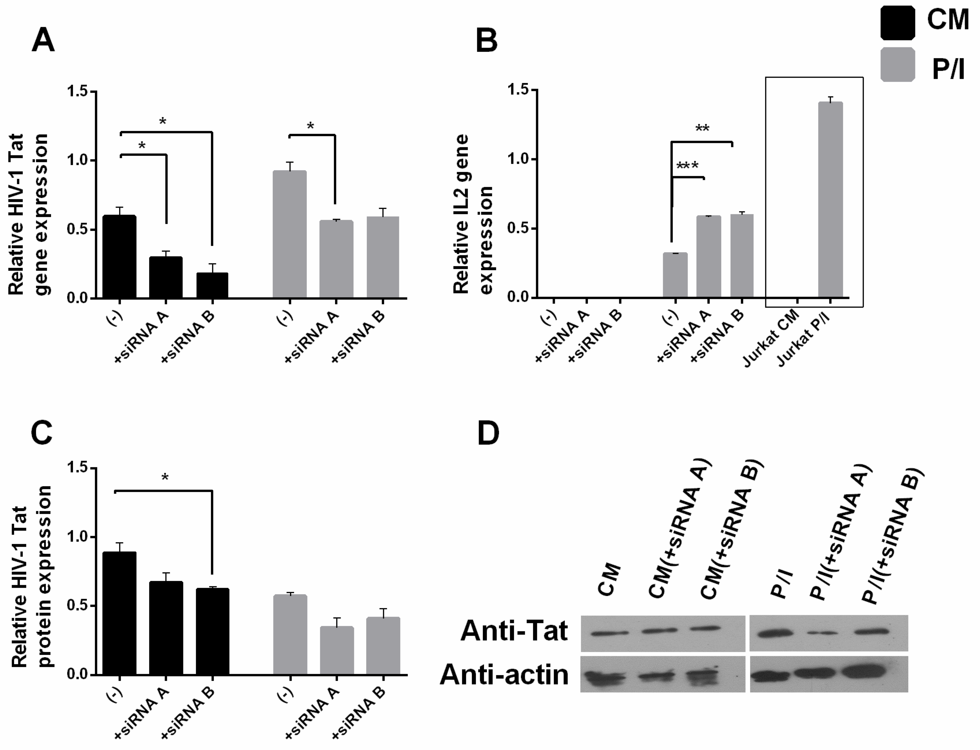 Biomolecules 13 00881 g002