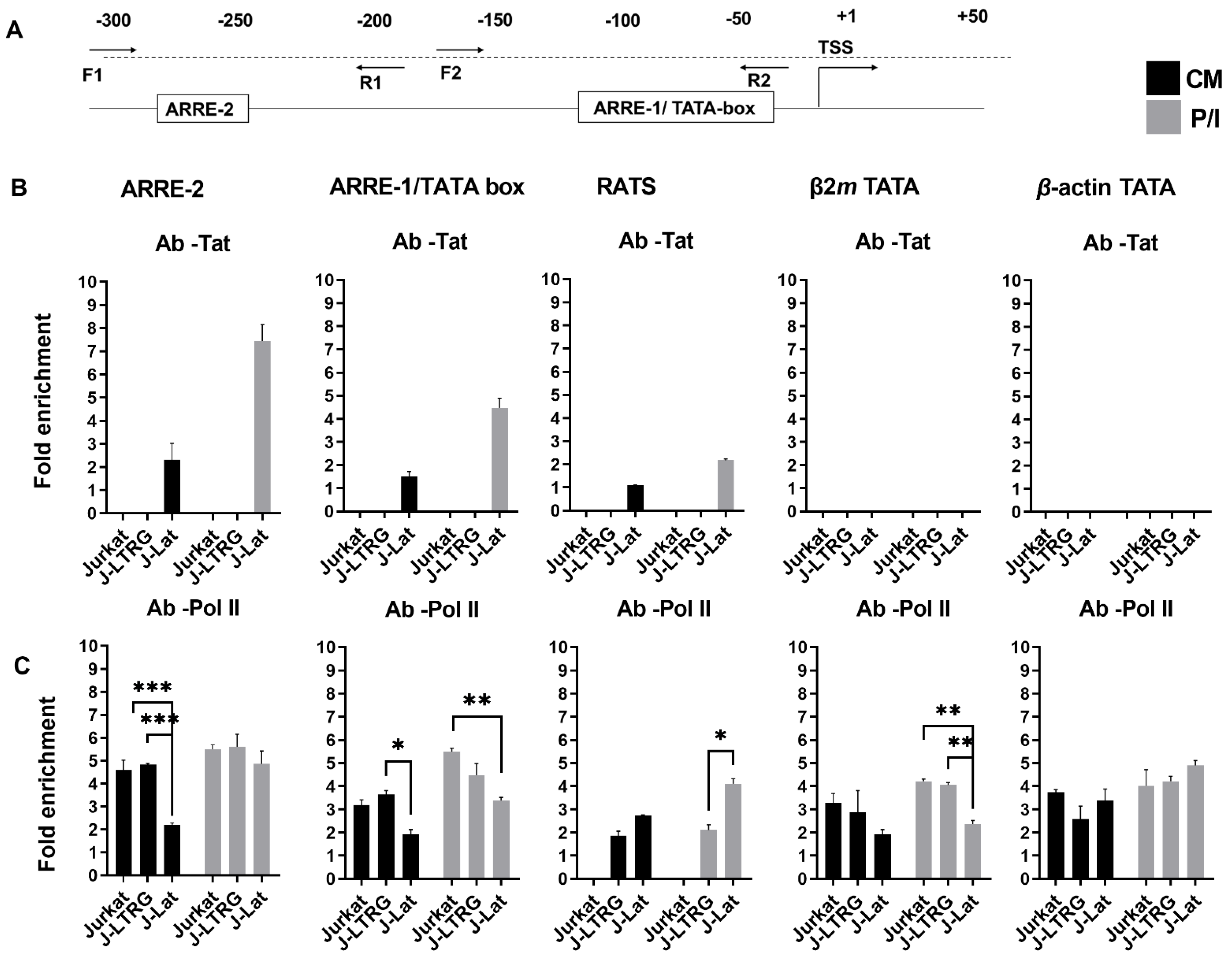 Biomolecules 13 00881 g003