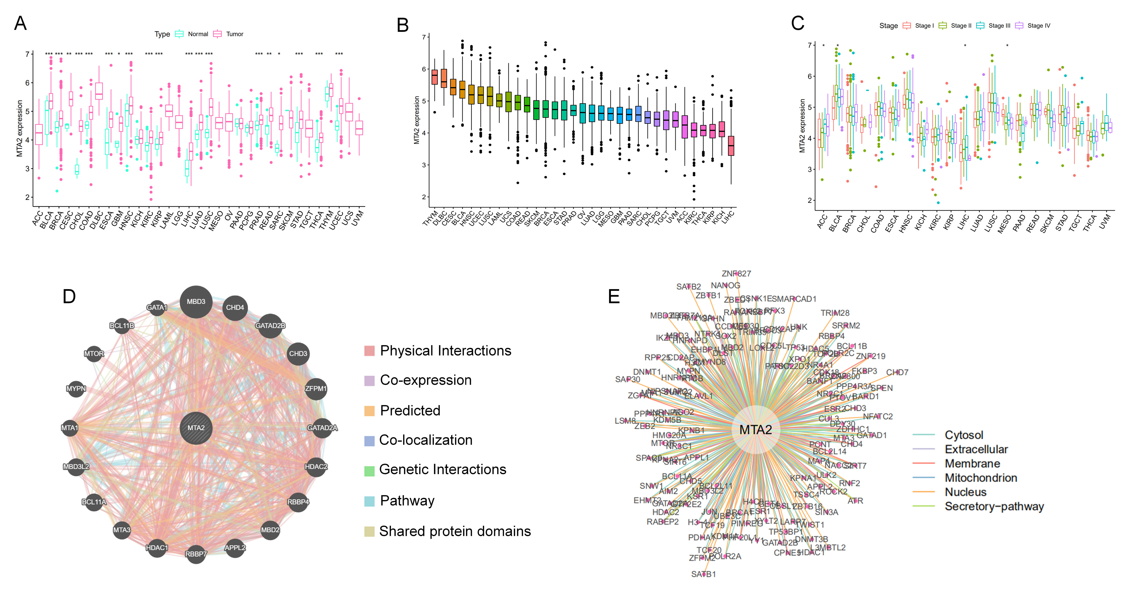 Biomolecules 13 00883 g002