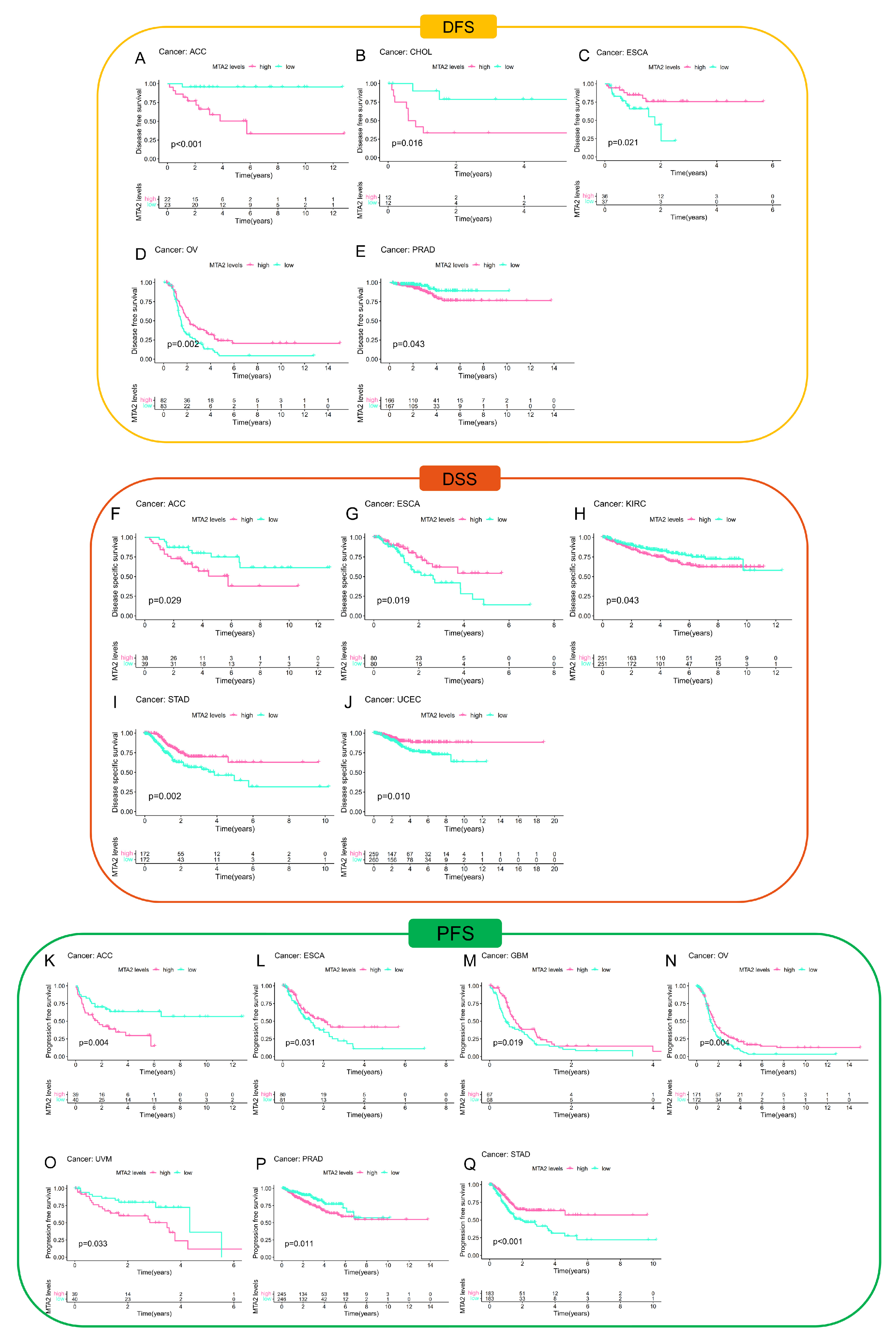 Biomolecules 13 00883 g005