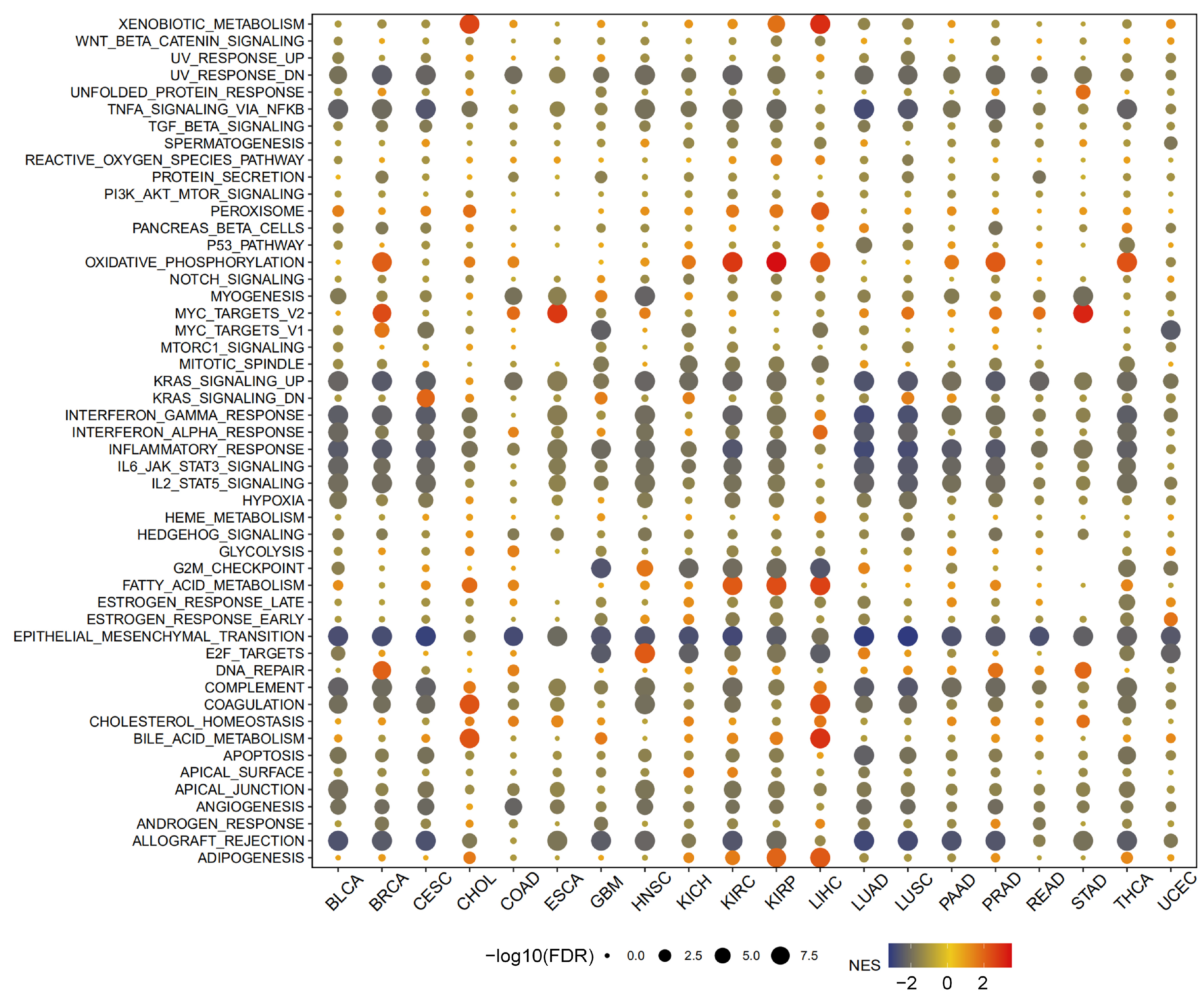Biomolecules 13 00883 g011
