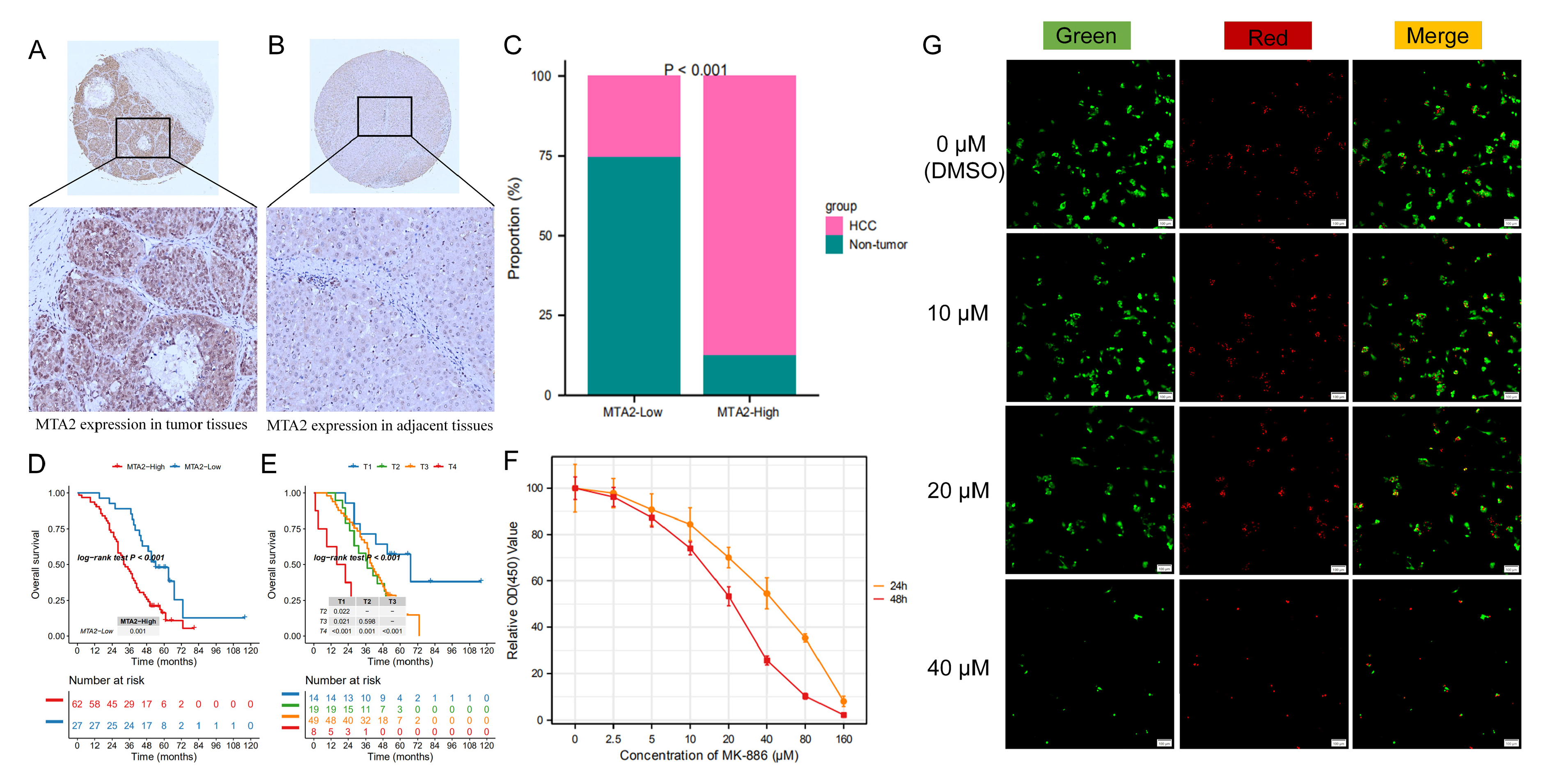 Biomolecules 13 00883 g018