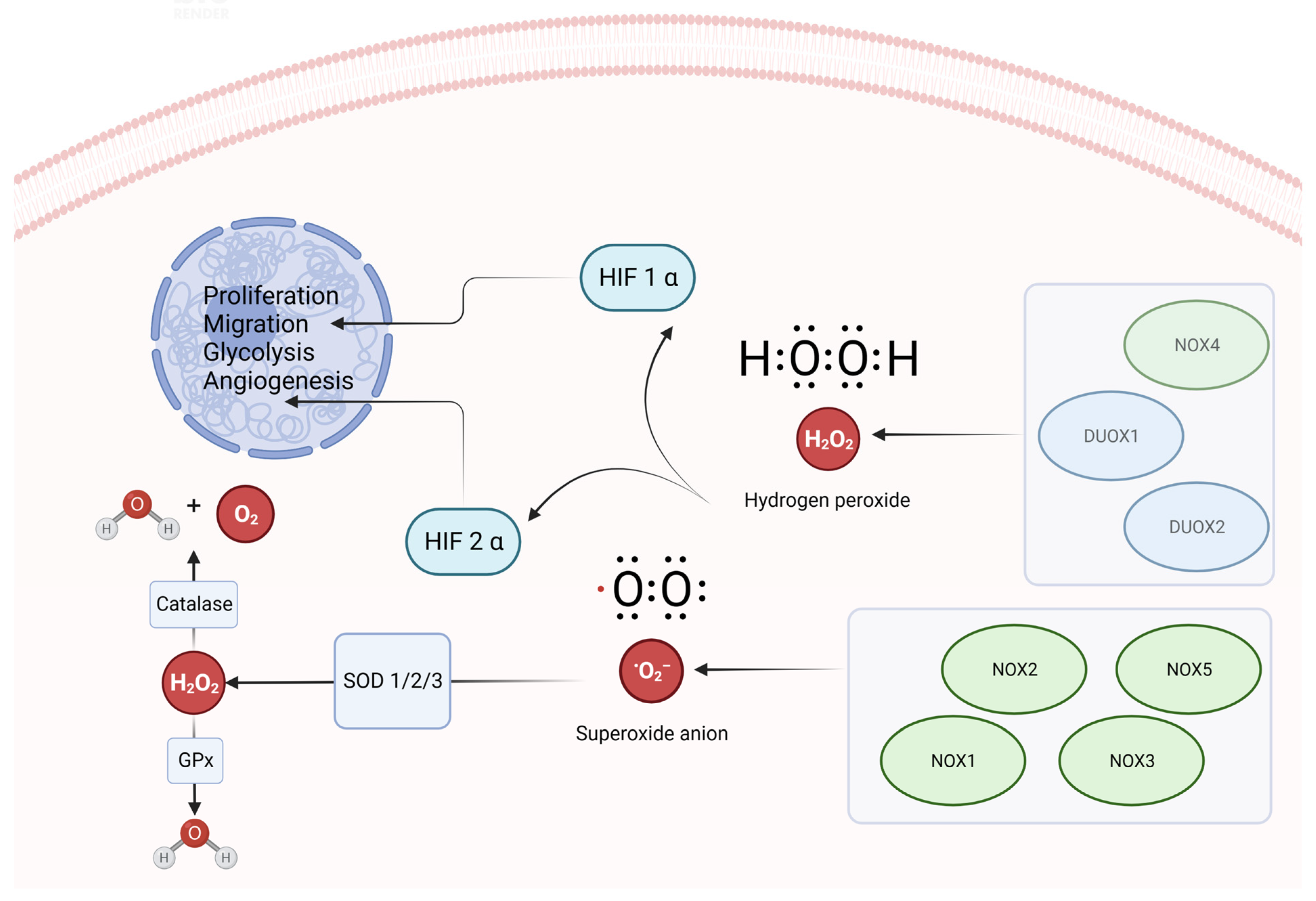 Biomolecules 13 00886 g001 Biomolecules 13 00886 g001