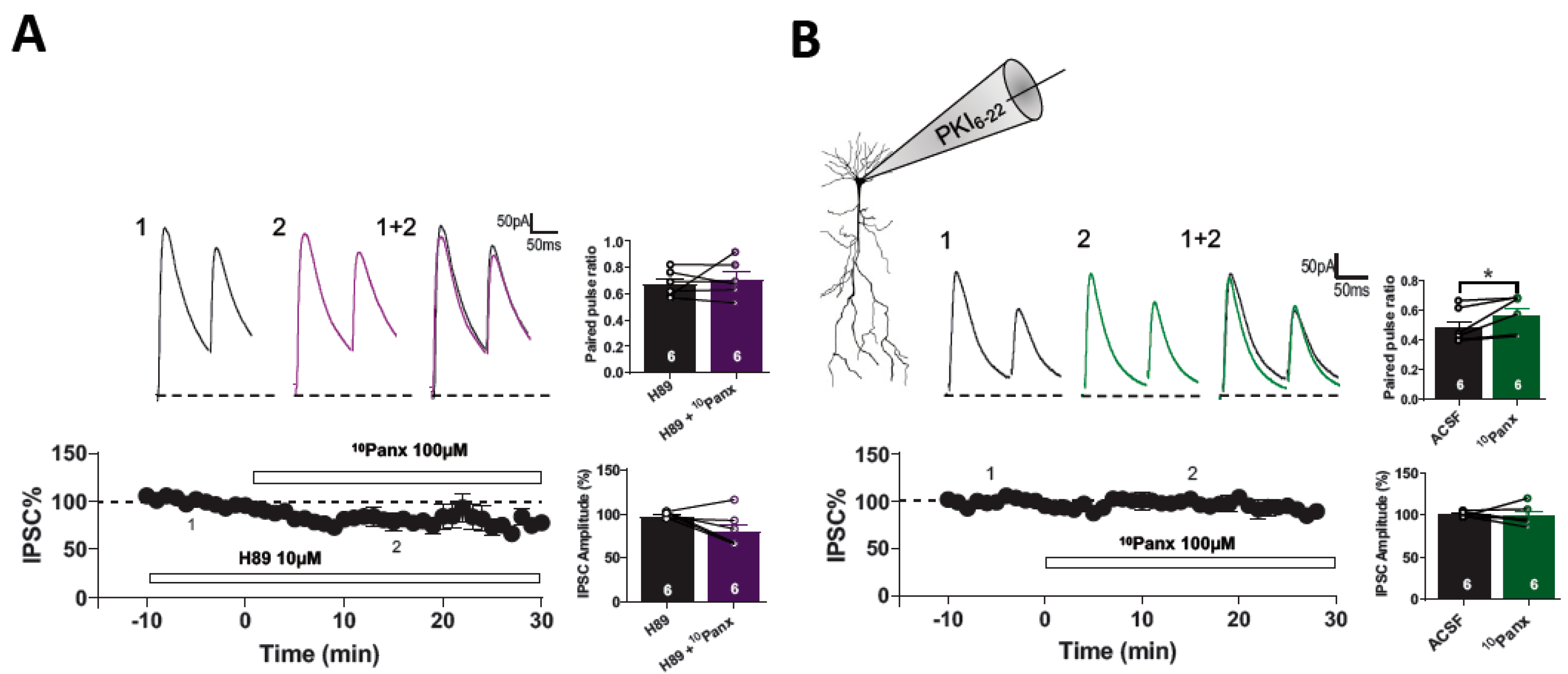 Biomolecules 13 00887 g004 Biomolecules 13 00887 g004
