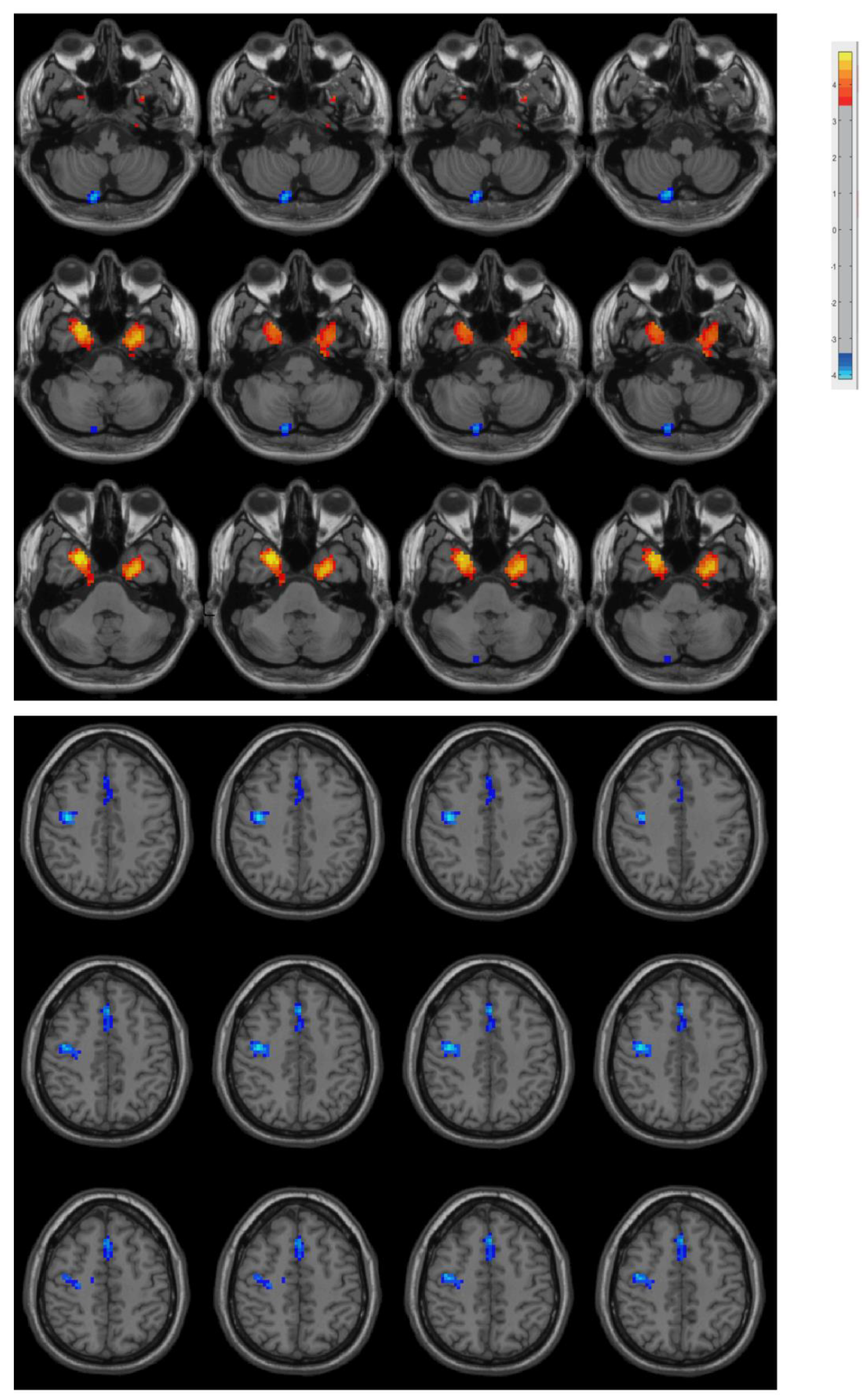 Biomolecules 13 00888 g001 Biomolecules 13 00888 g001