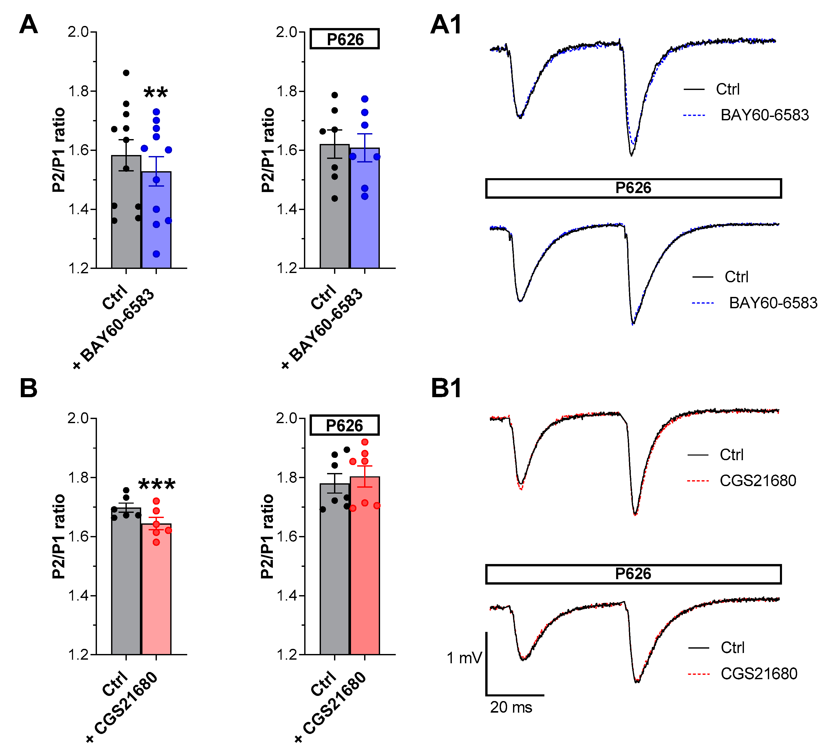 Biomolecules 13 00894 g004 Biomolecules 13 00894 g004