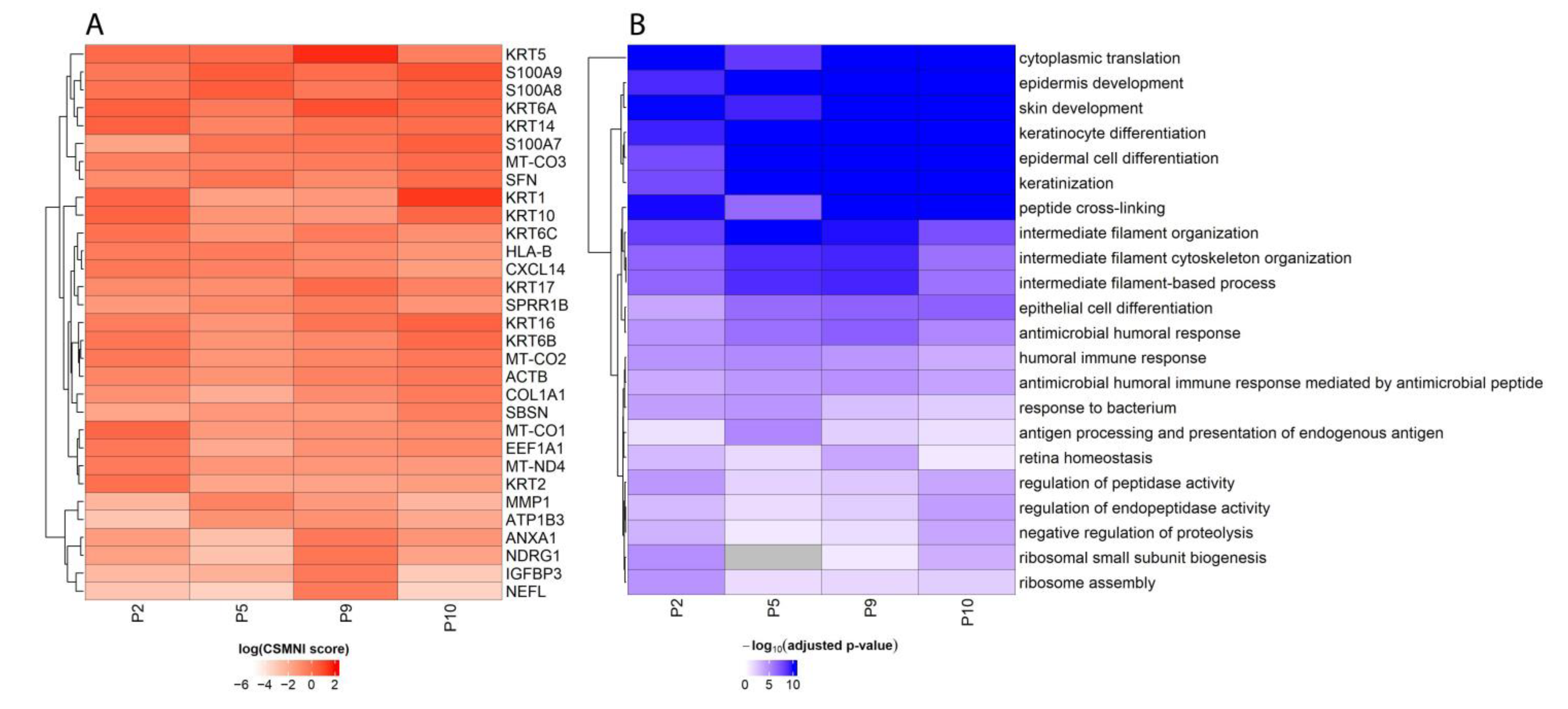 Biomolecules 13 00895 g004 Biomolecules 13 00895 g004