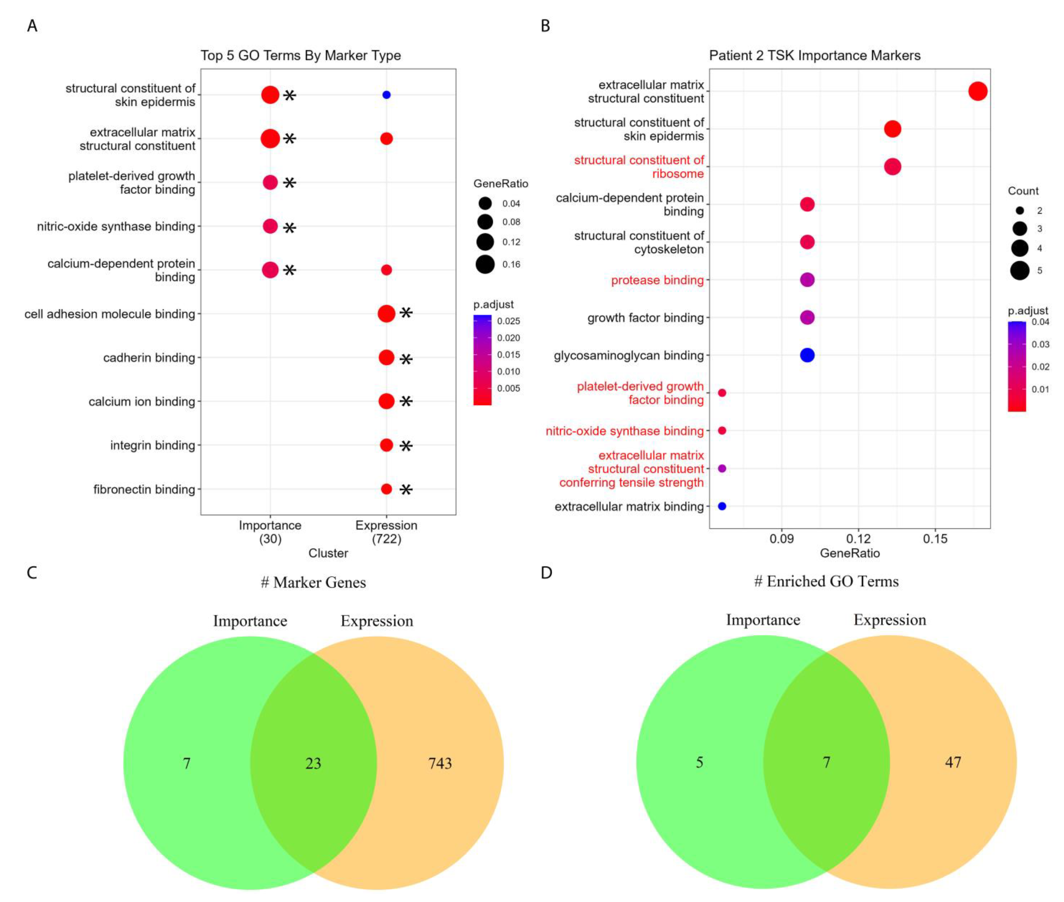 Biomolecules 13 00895 g005 Biomolecules 13 00895 g005