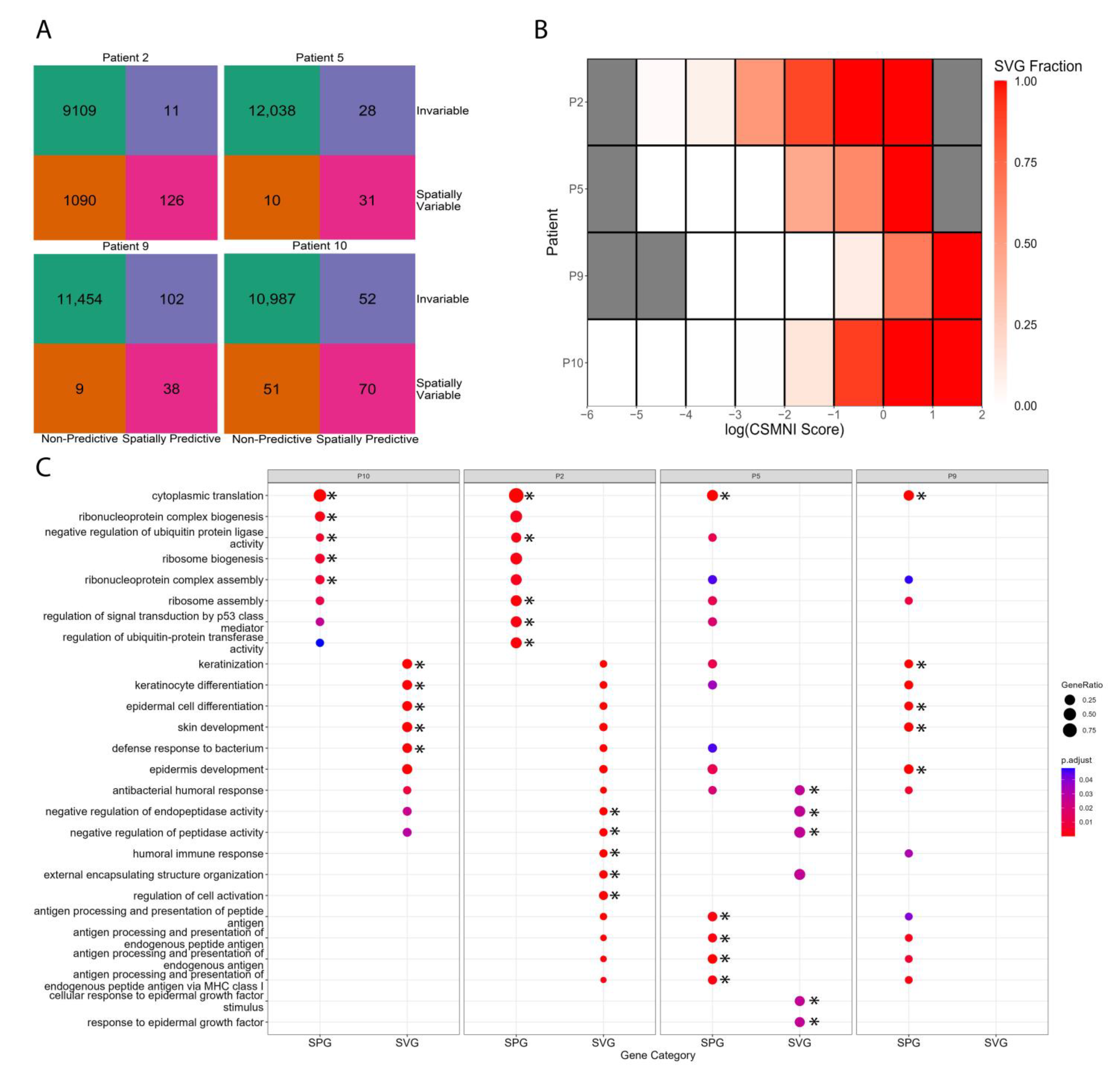 Biomolecules 13 00895 g006 Biomolecules 13 00895 g006