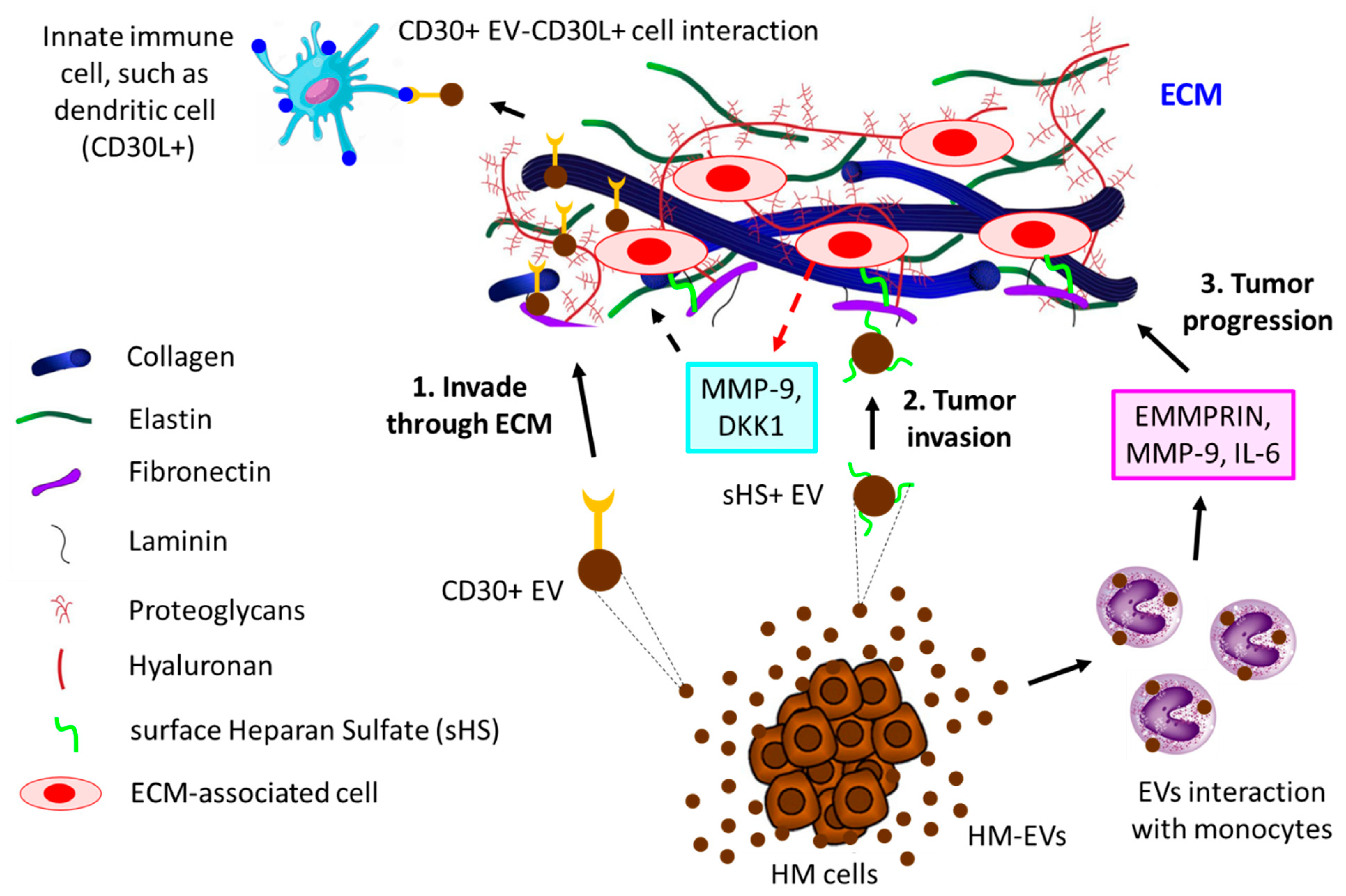 Biomolecules 13 00897 g004