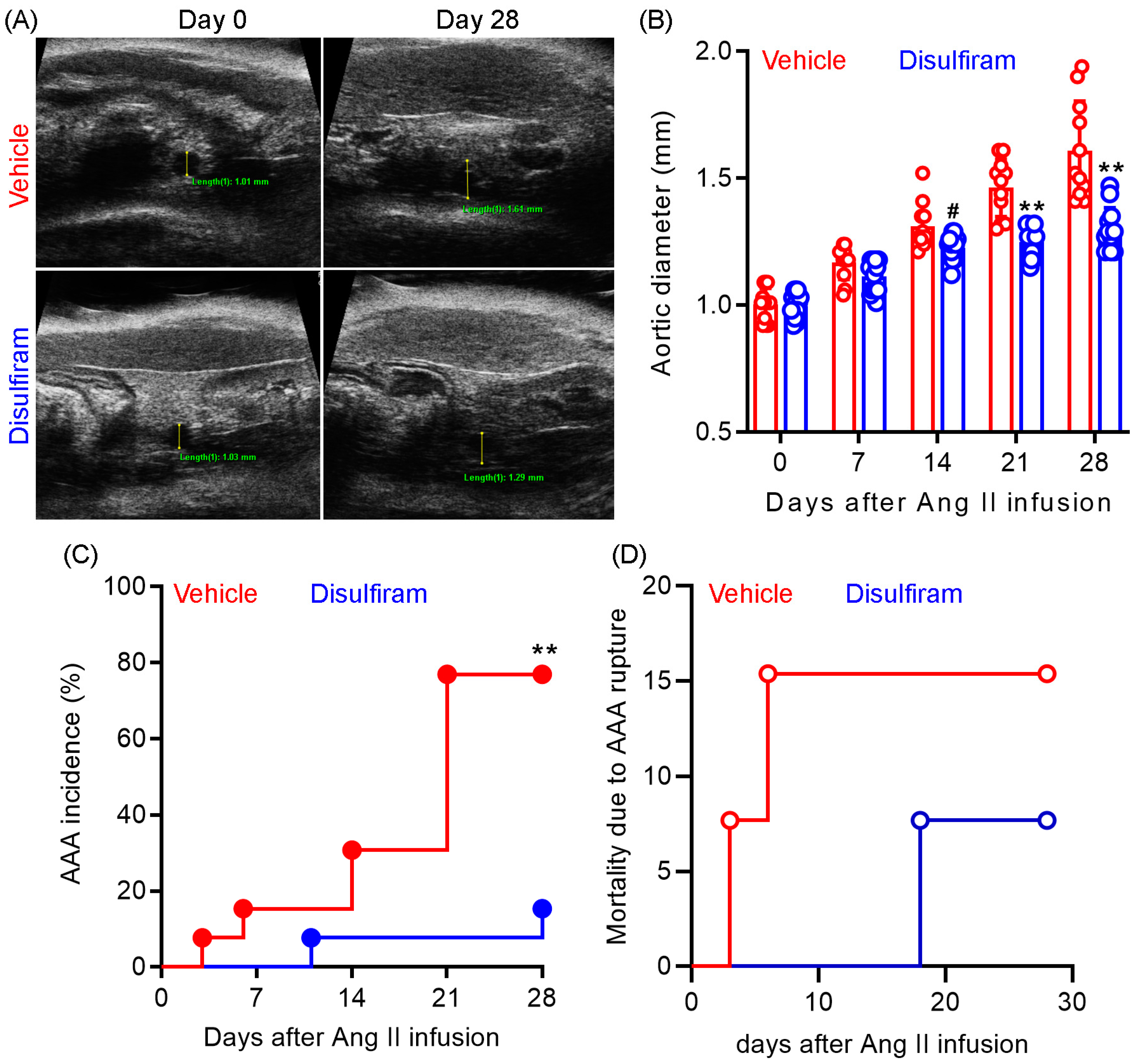 Biomolecules 13 00899 g001 Biomolecules 13 00899 g001