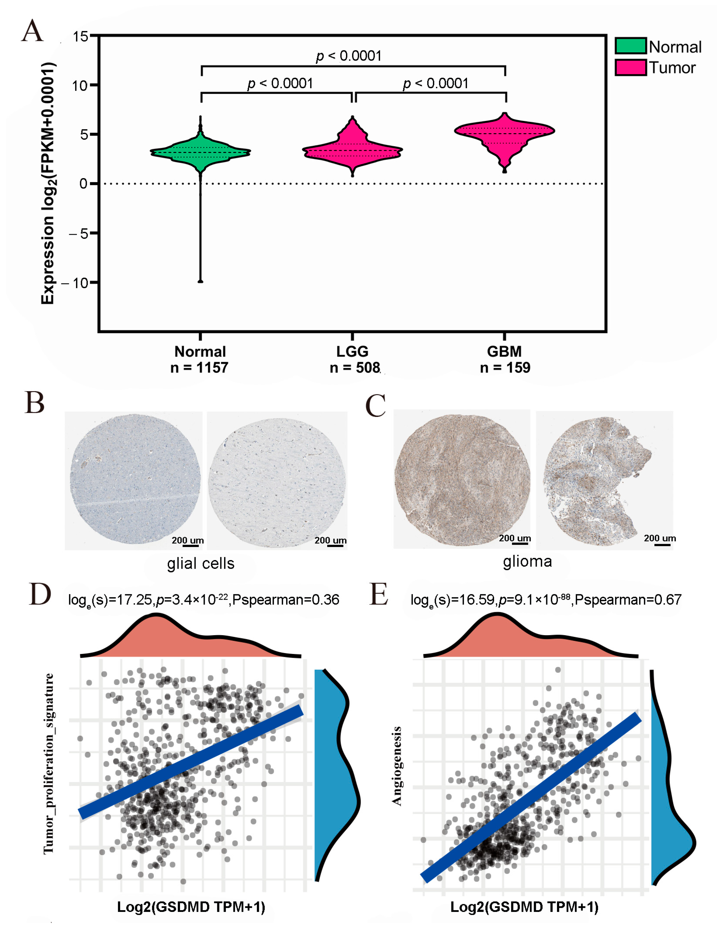 Biomolecules 13 00904 g001 Biomolecules 13 00904 g001