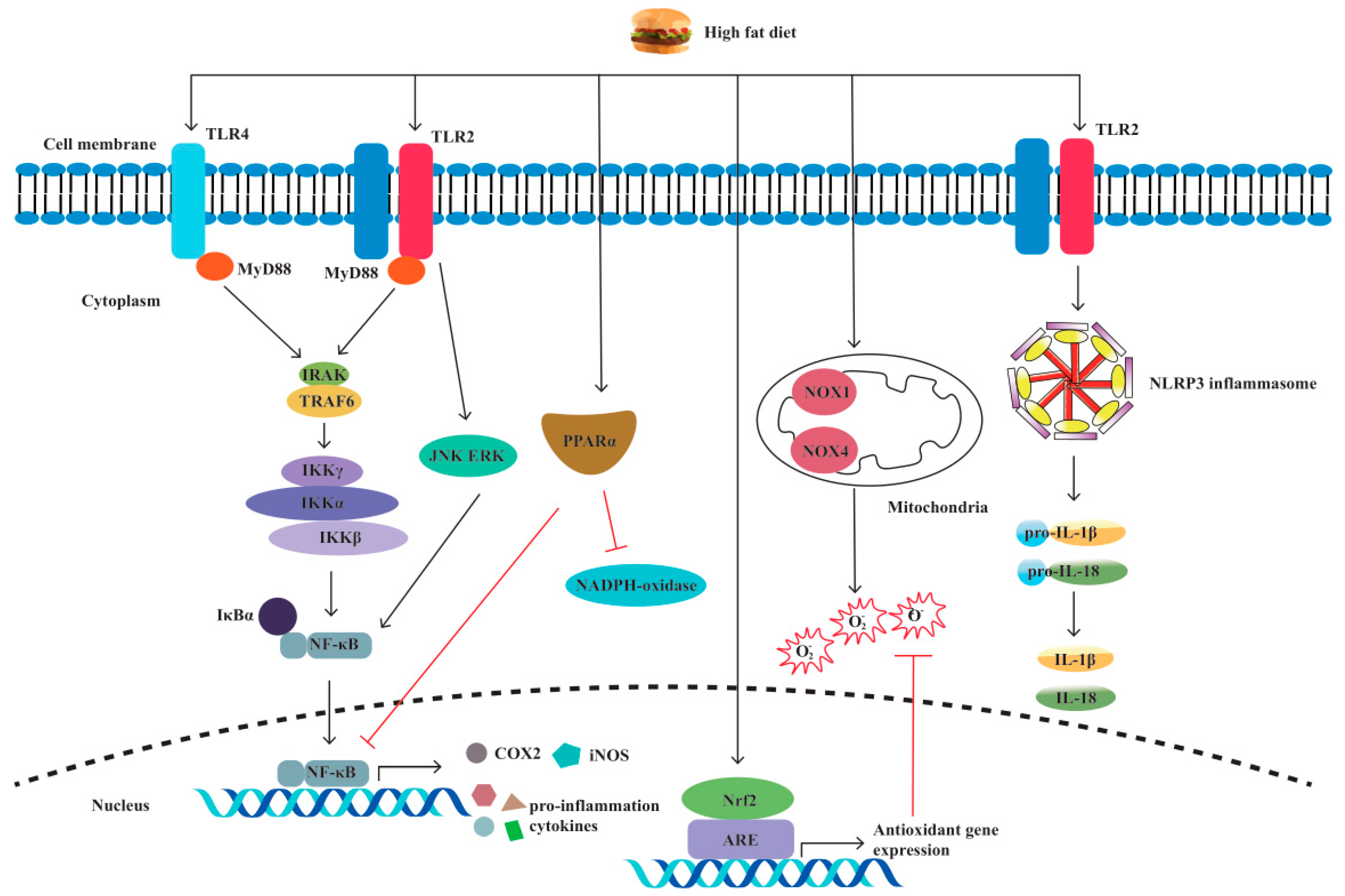 Biomolecules 13 00905 g003 Biomolecules 13 00905 g003