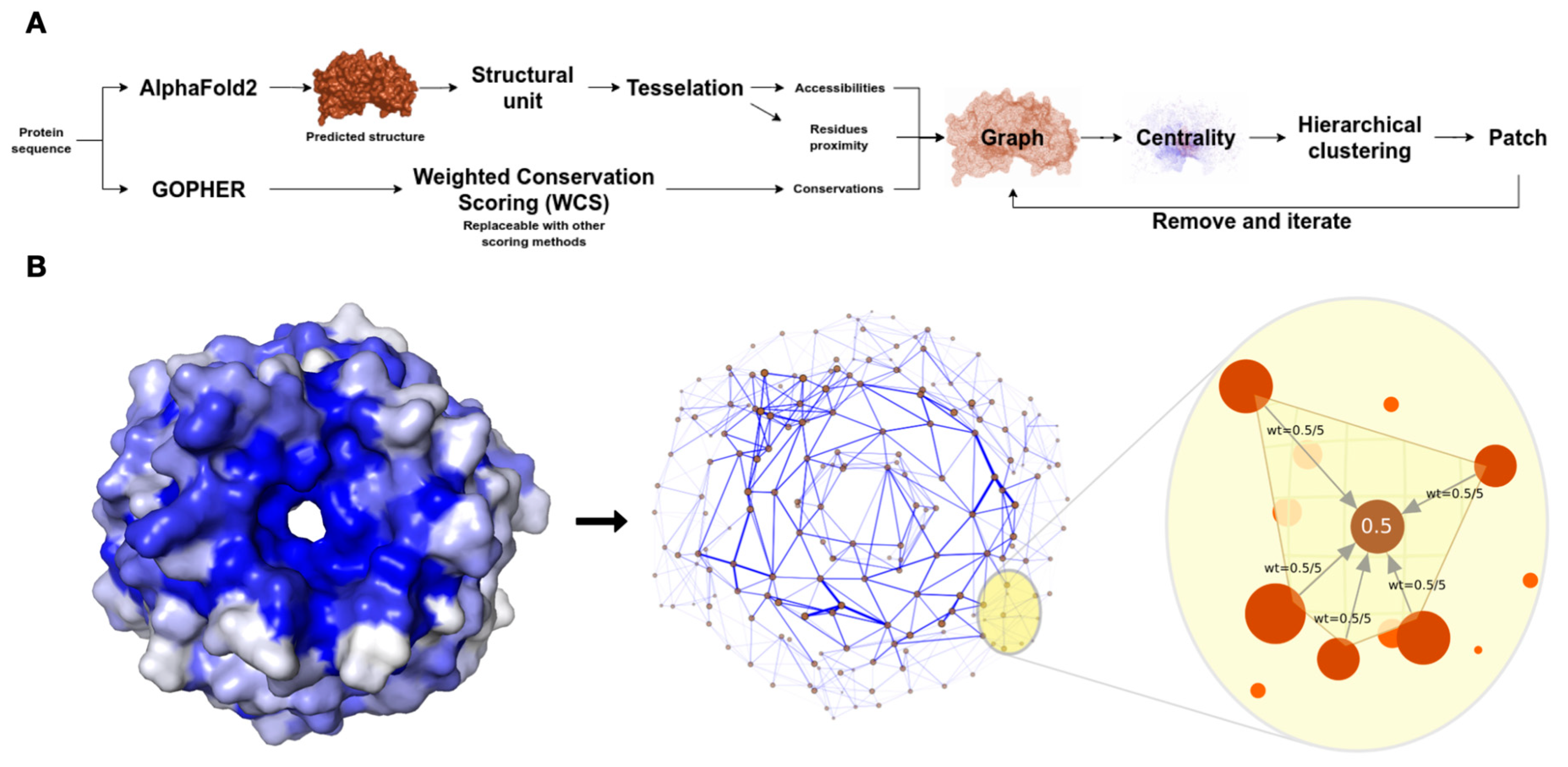 Biomolecules 13 00906 g001