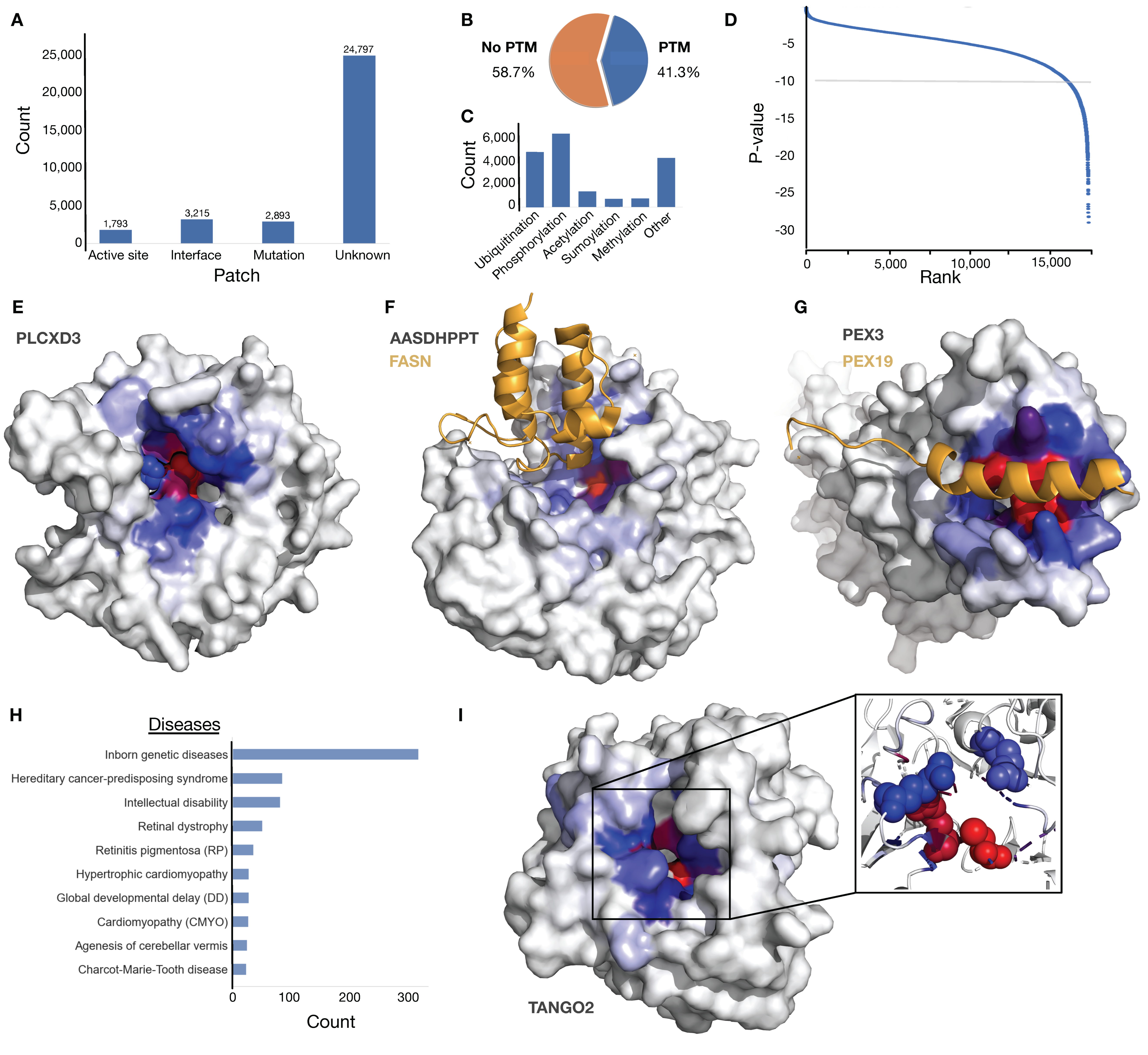 Biomolecules 13 00906 g003