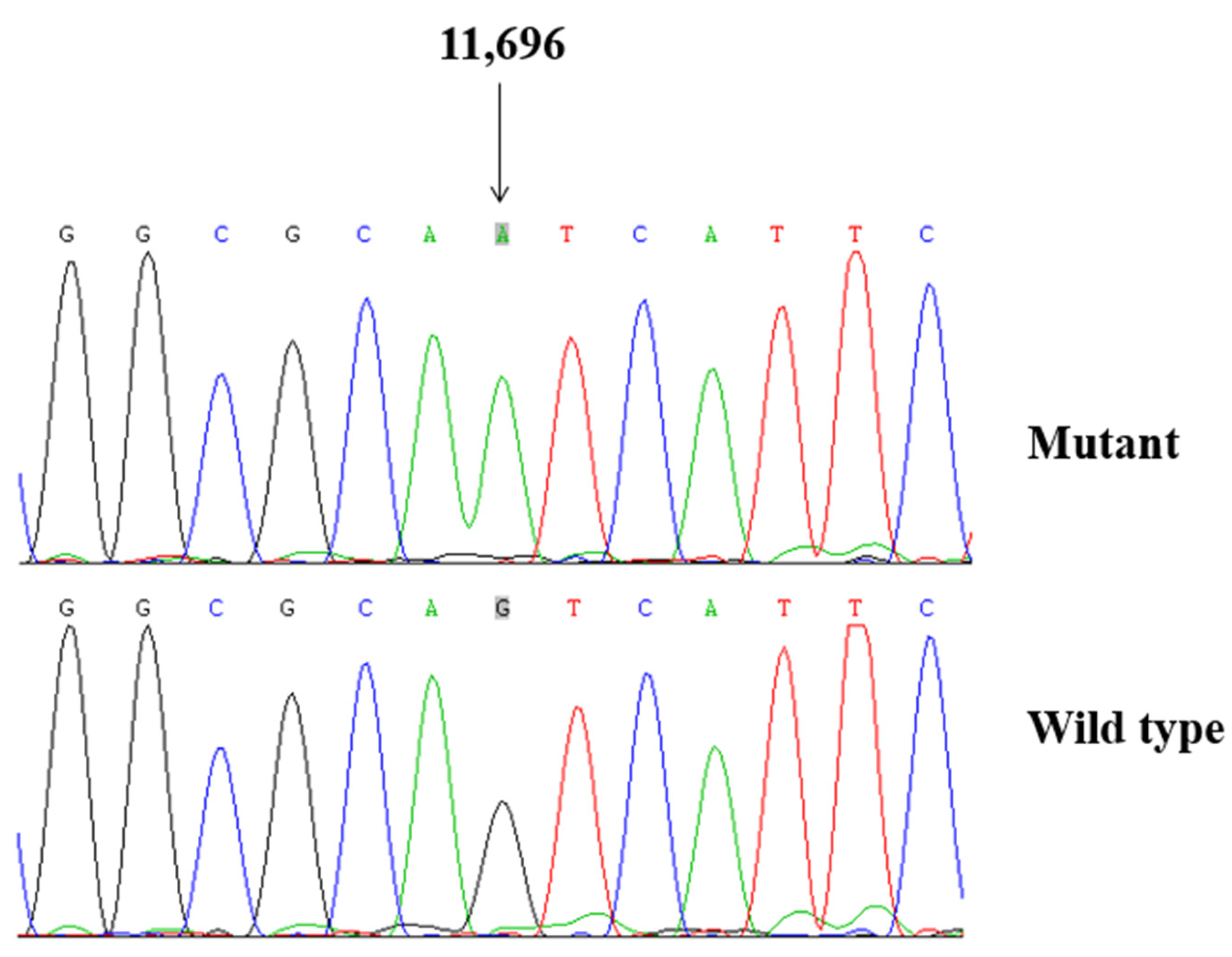 Biomolecules 13 00907 g002 Biomolecules 13 00907 g002